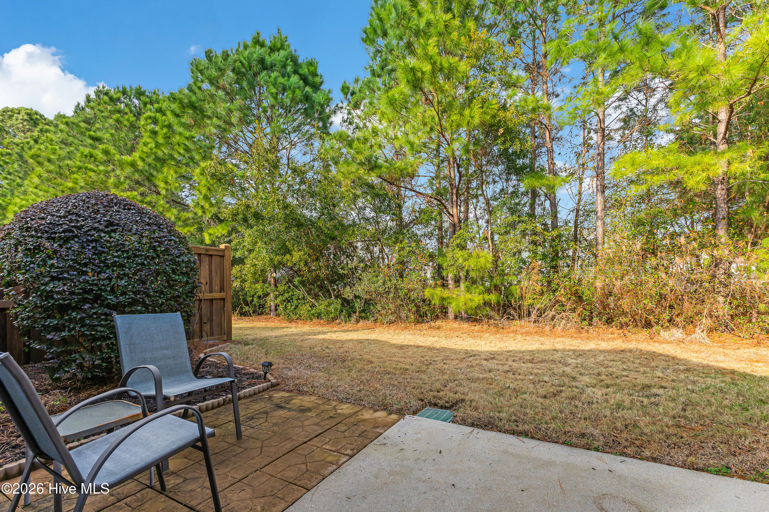 100548521 | Photo 22