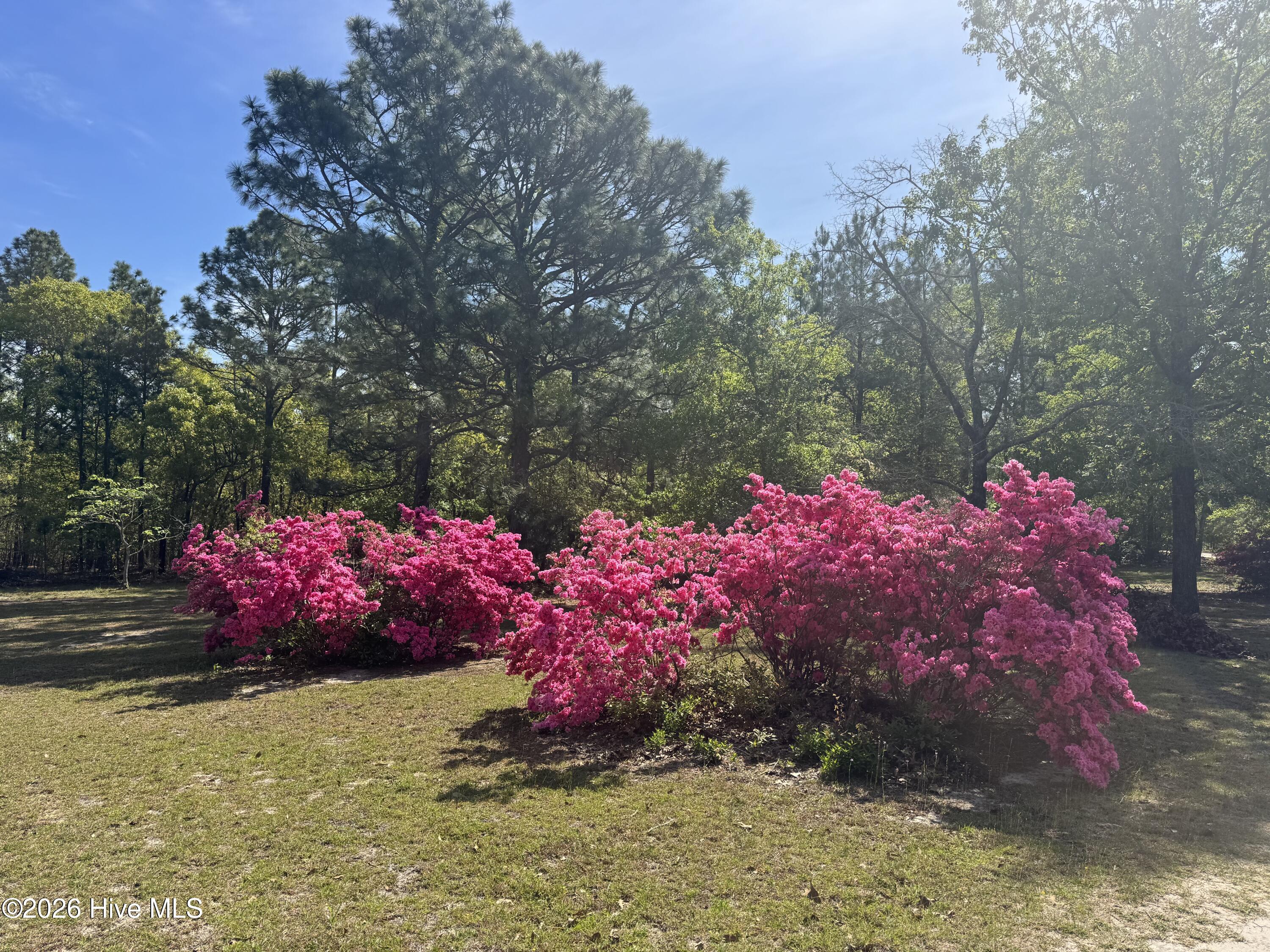 490 Springhill Church Road, Hamlet, NC, 28345