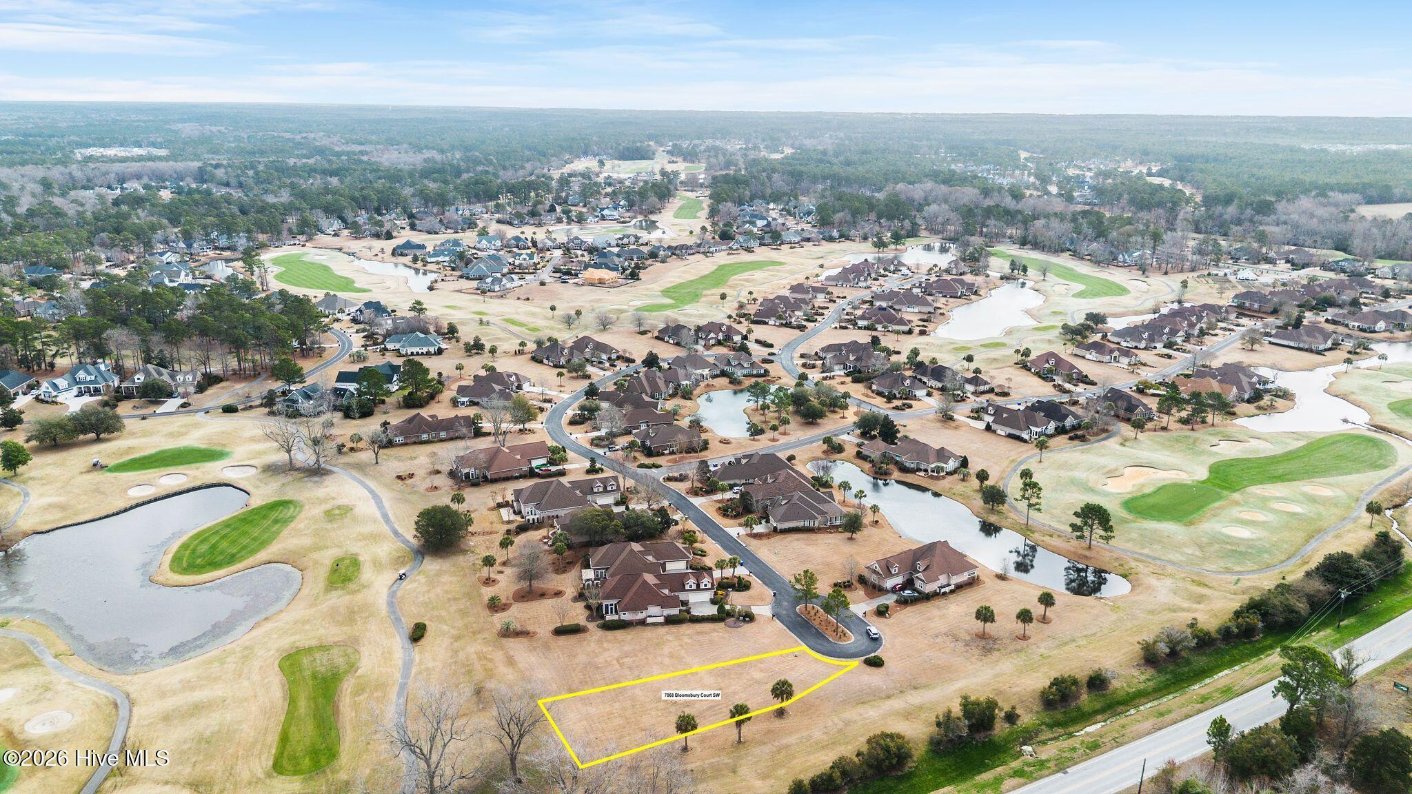 100555866 | Photo 16