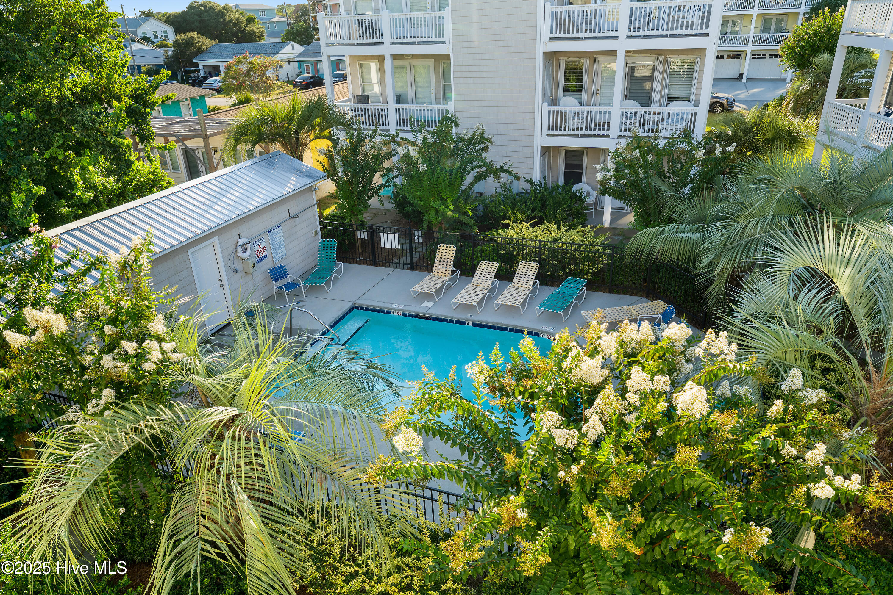 100532261 | Photo 46