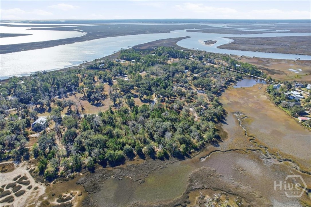 Homes for sale in Midway, GA | Lot 5 Bermuda Bluff Ln, Midway, GA 31320 | MLS# SA348422