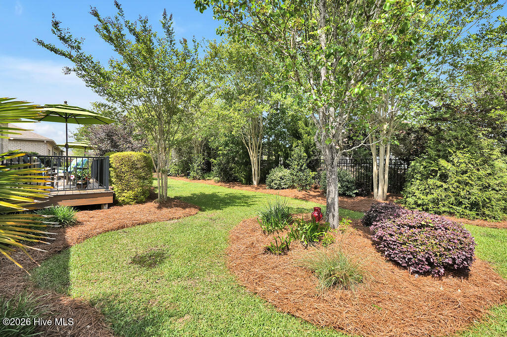 100562114 | Photo 37