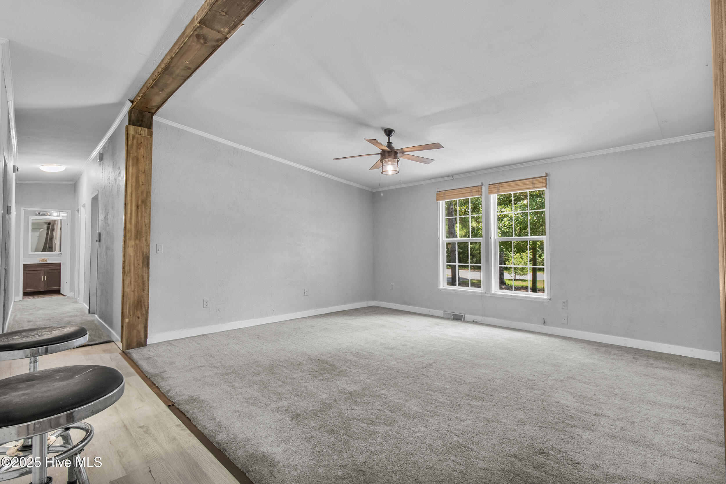 100515334 | Photo 15