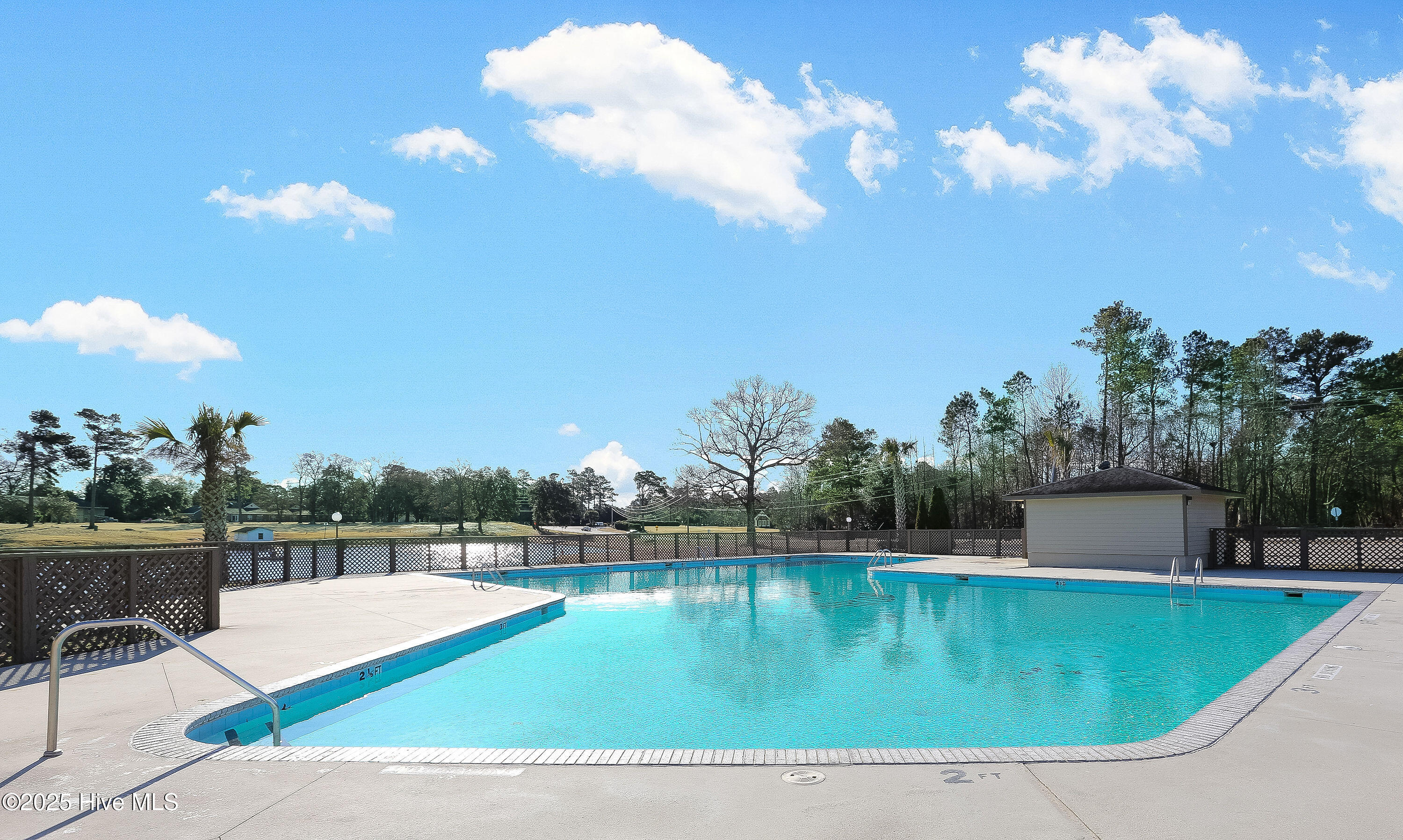 100533968 | Photo 63