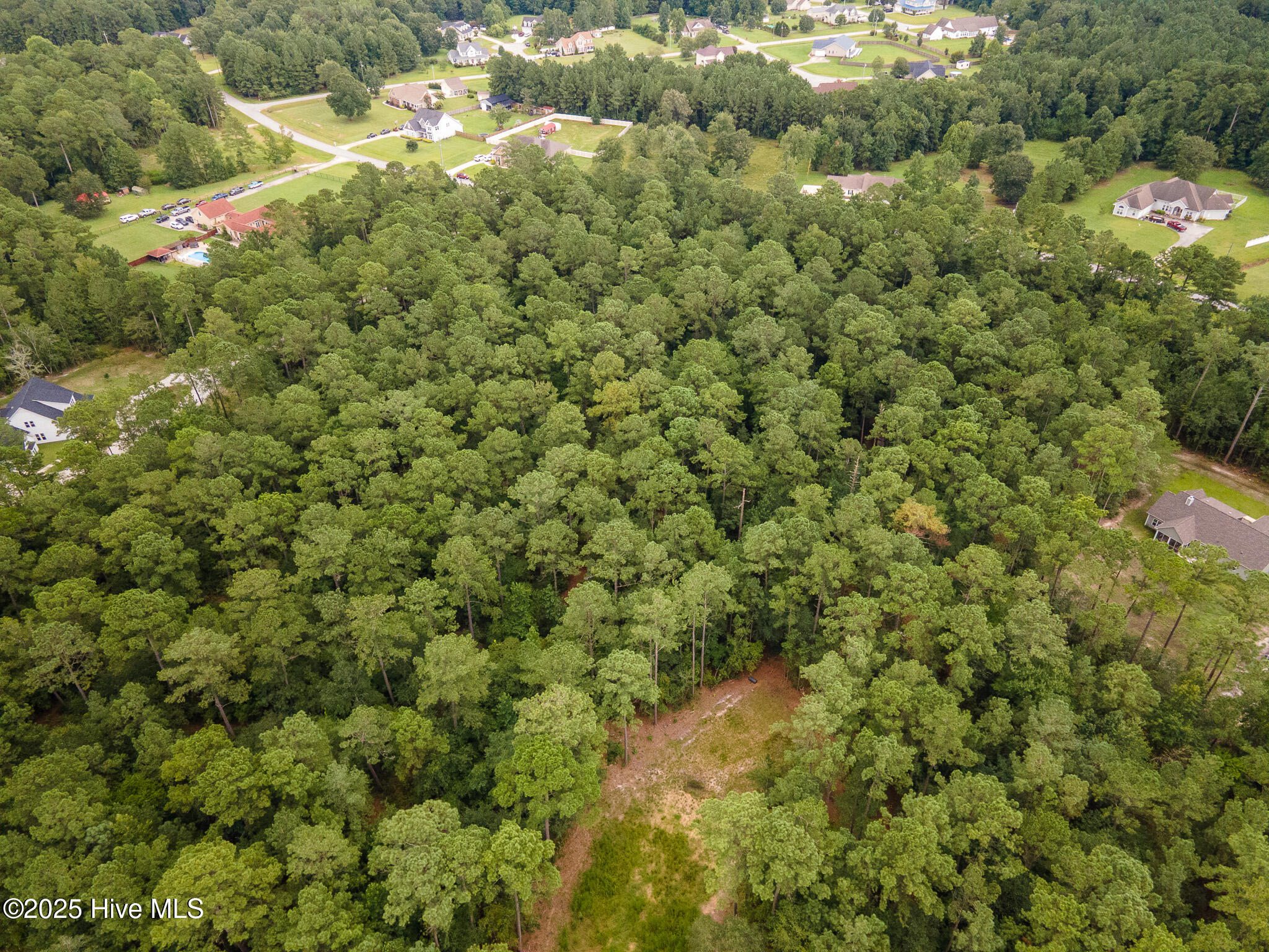 100523955 | Photo 13