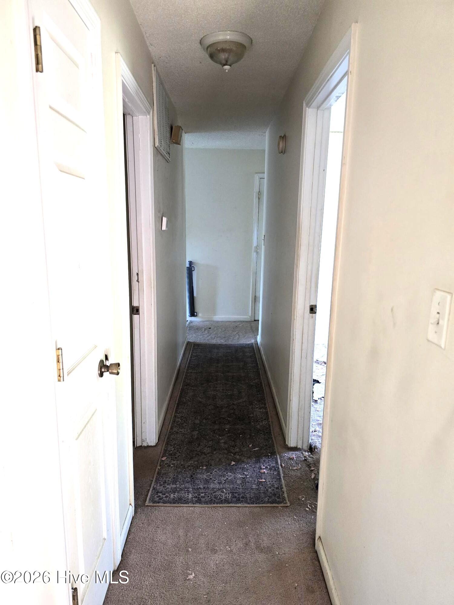 100567679 | Photo 17