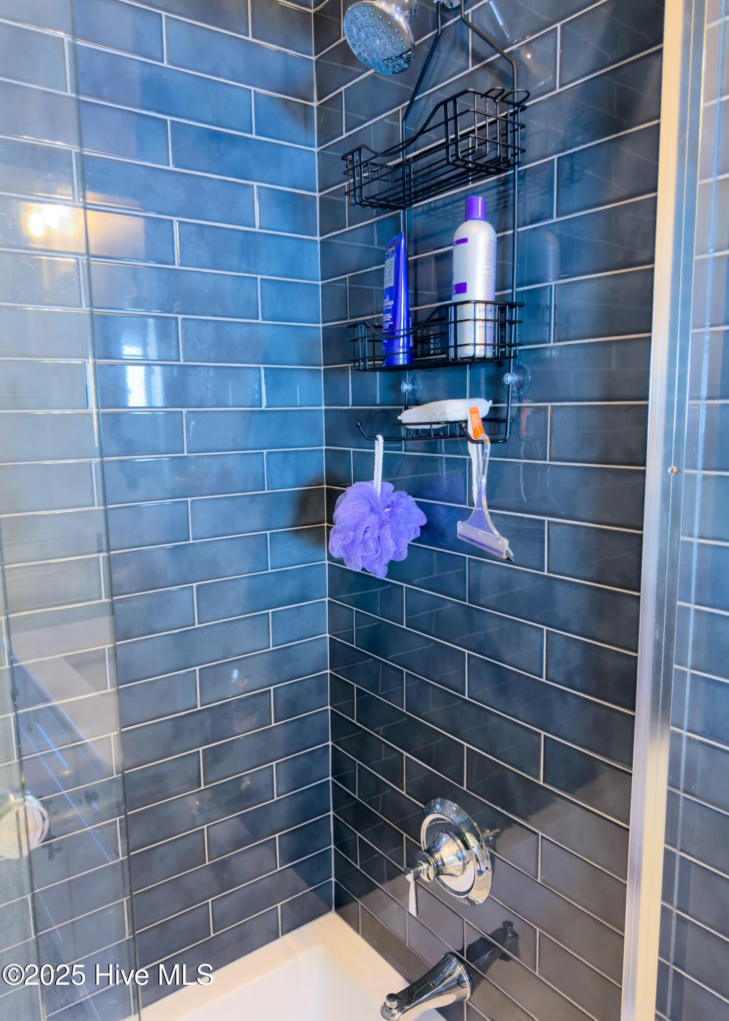 100539739 | Photo 18