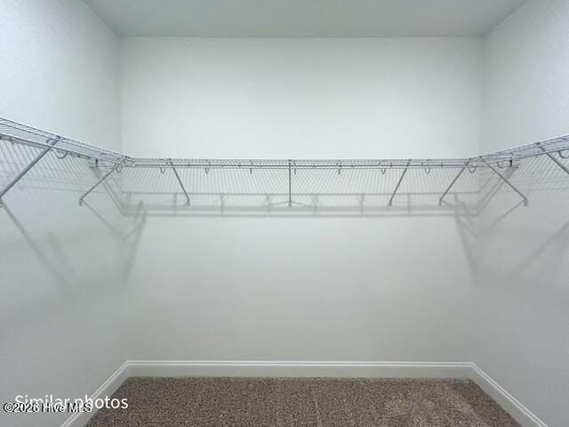 100553886 | Photo 39