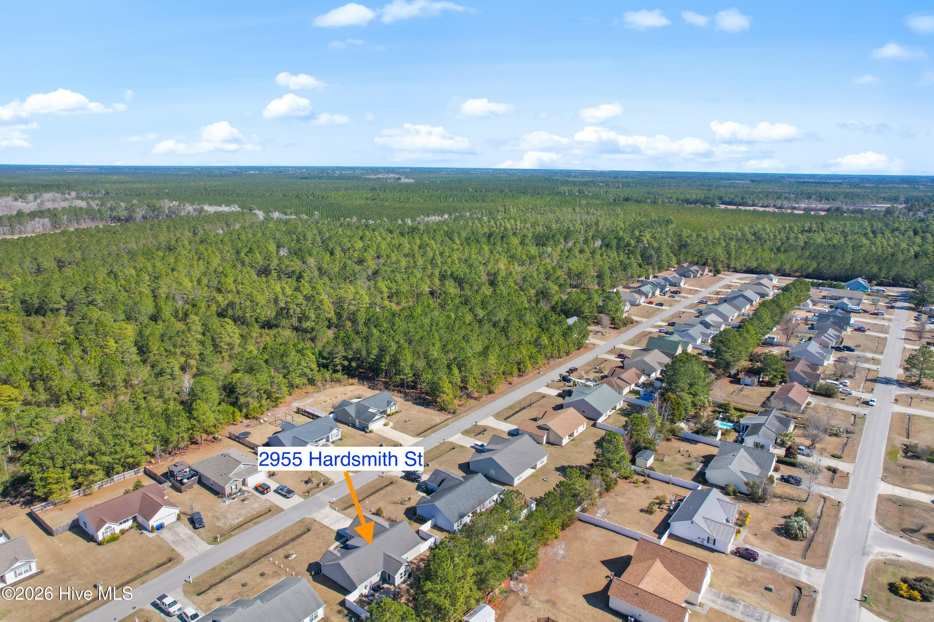 100556546 | Photo 44