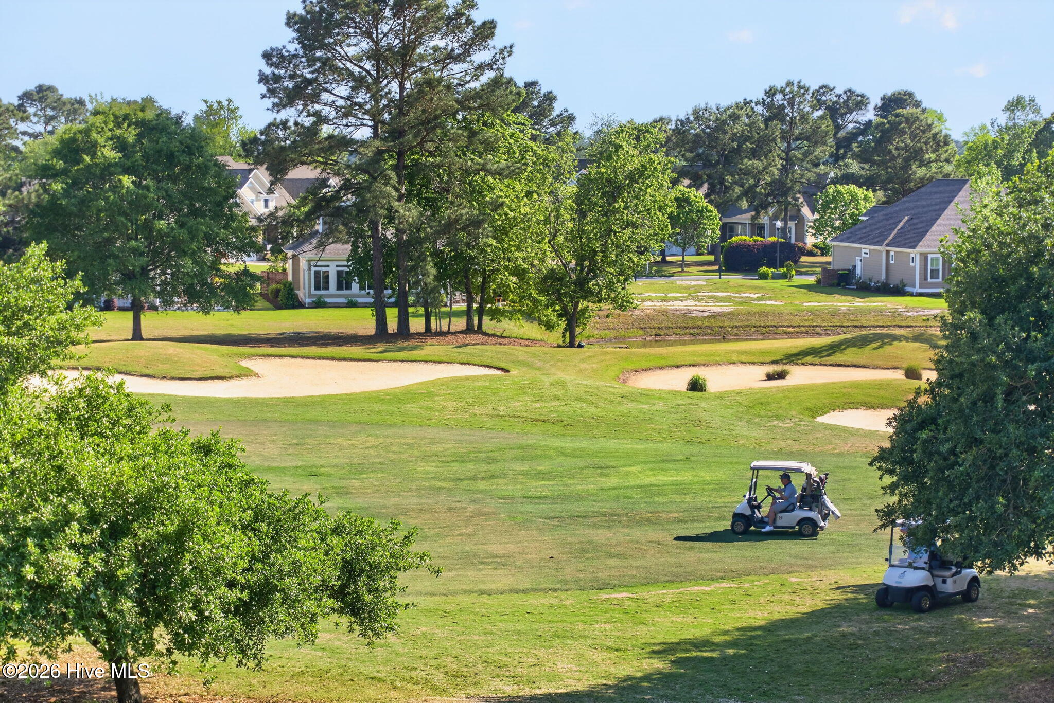 100568431 | Photo 31