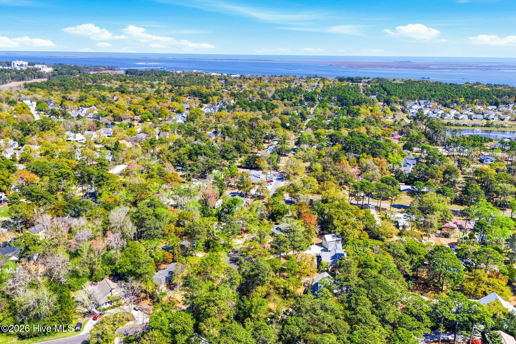 100564618 | Photo 13