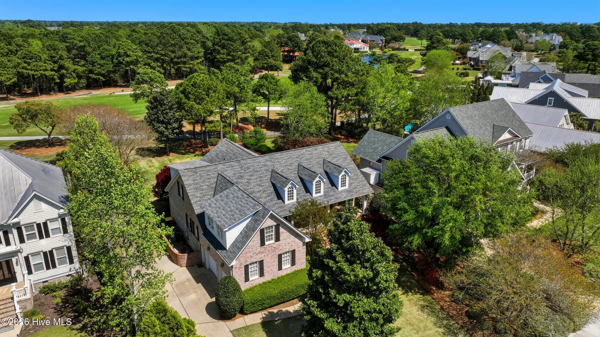 100566106 | Photo 51