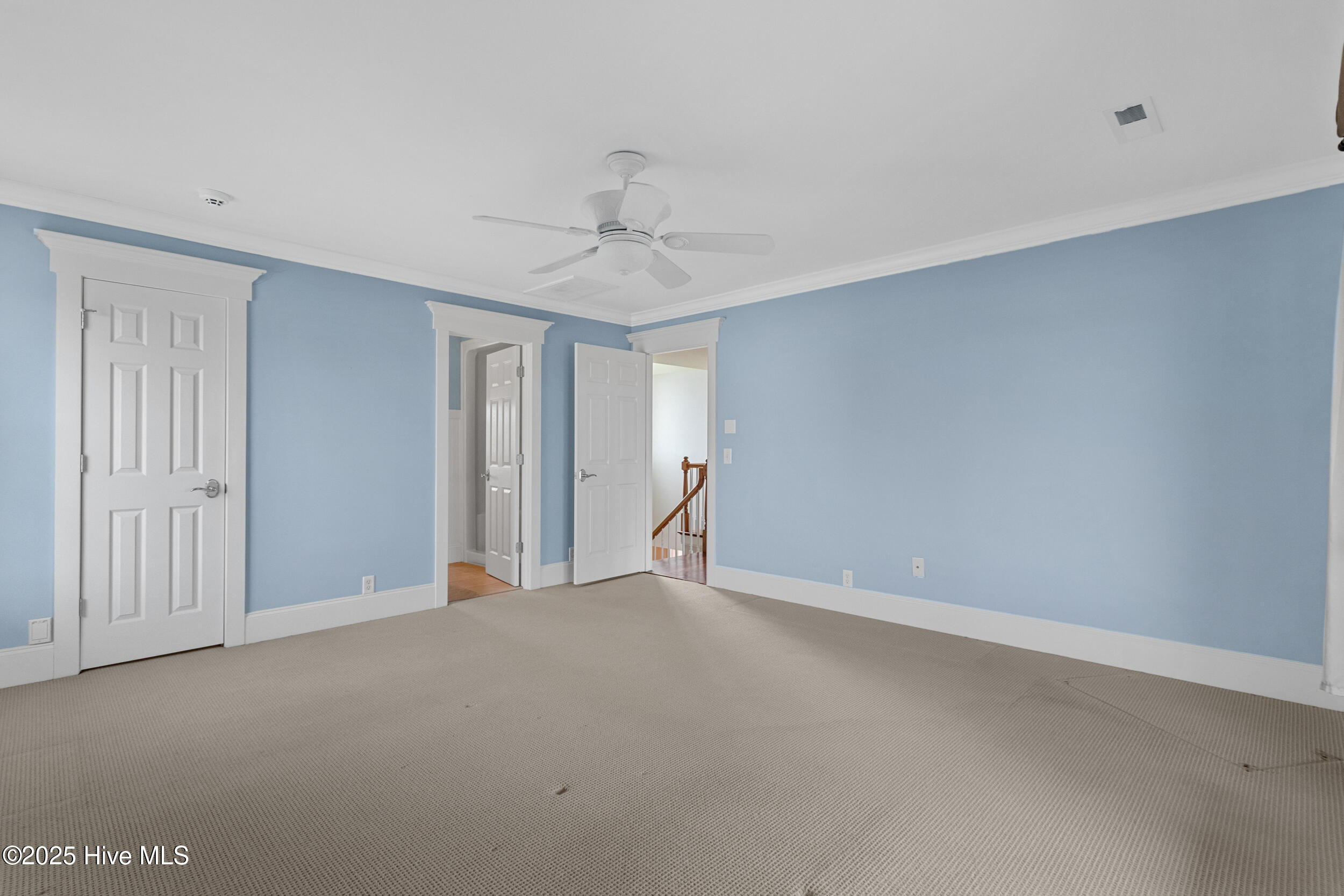 100538767 | Photo 29