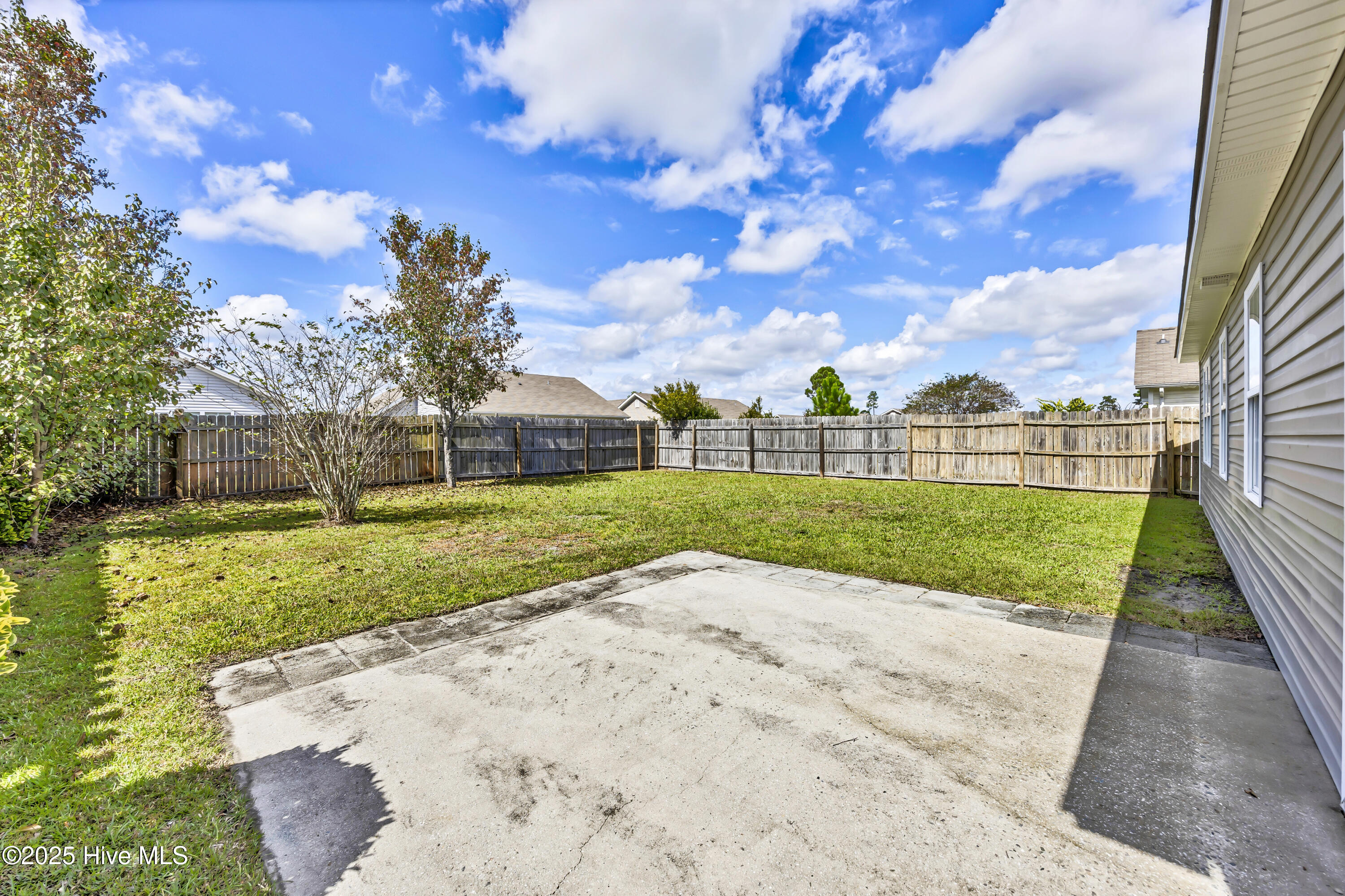 100535100 | Photo 18