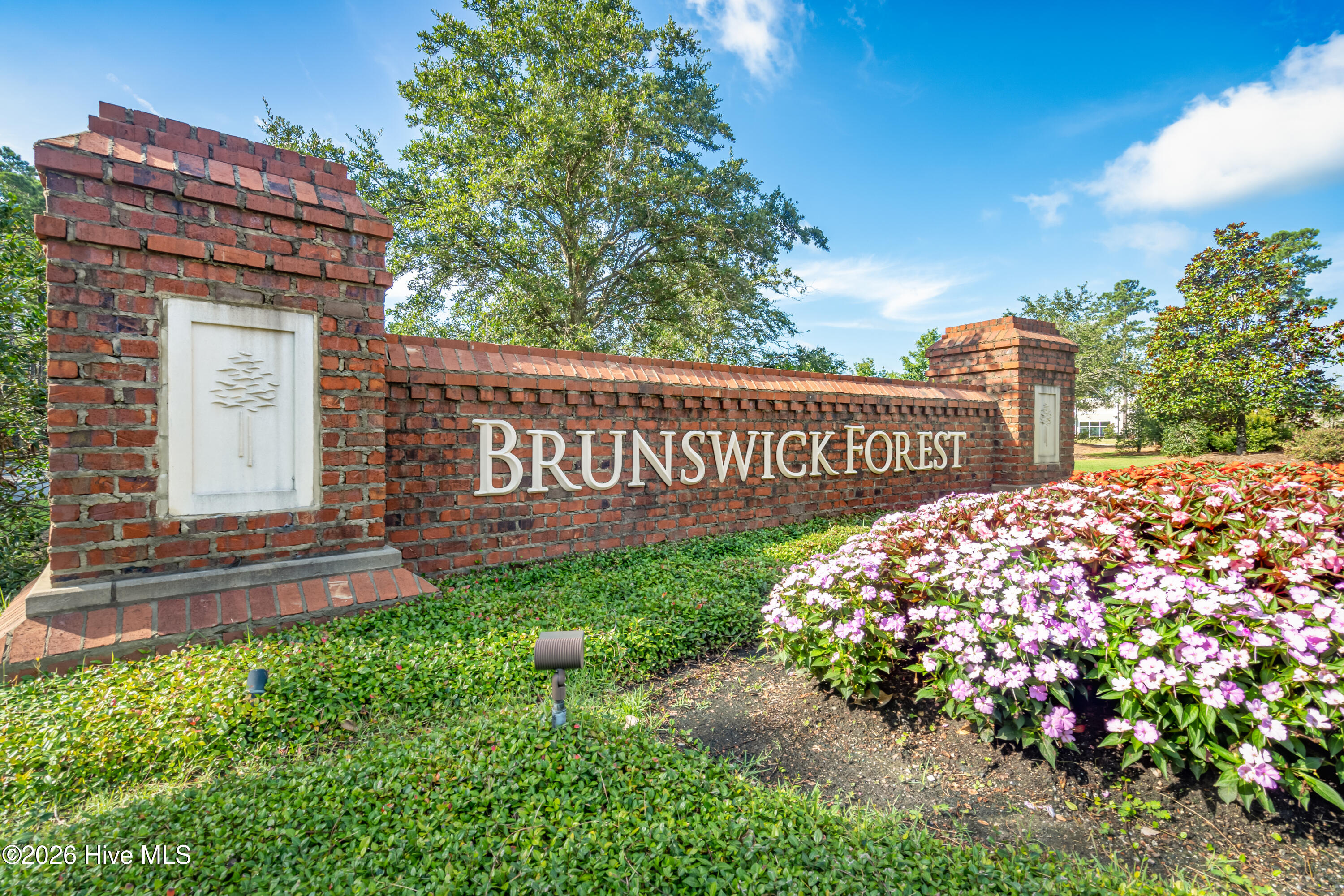 100553461 | Photo 51