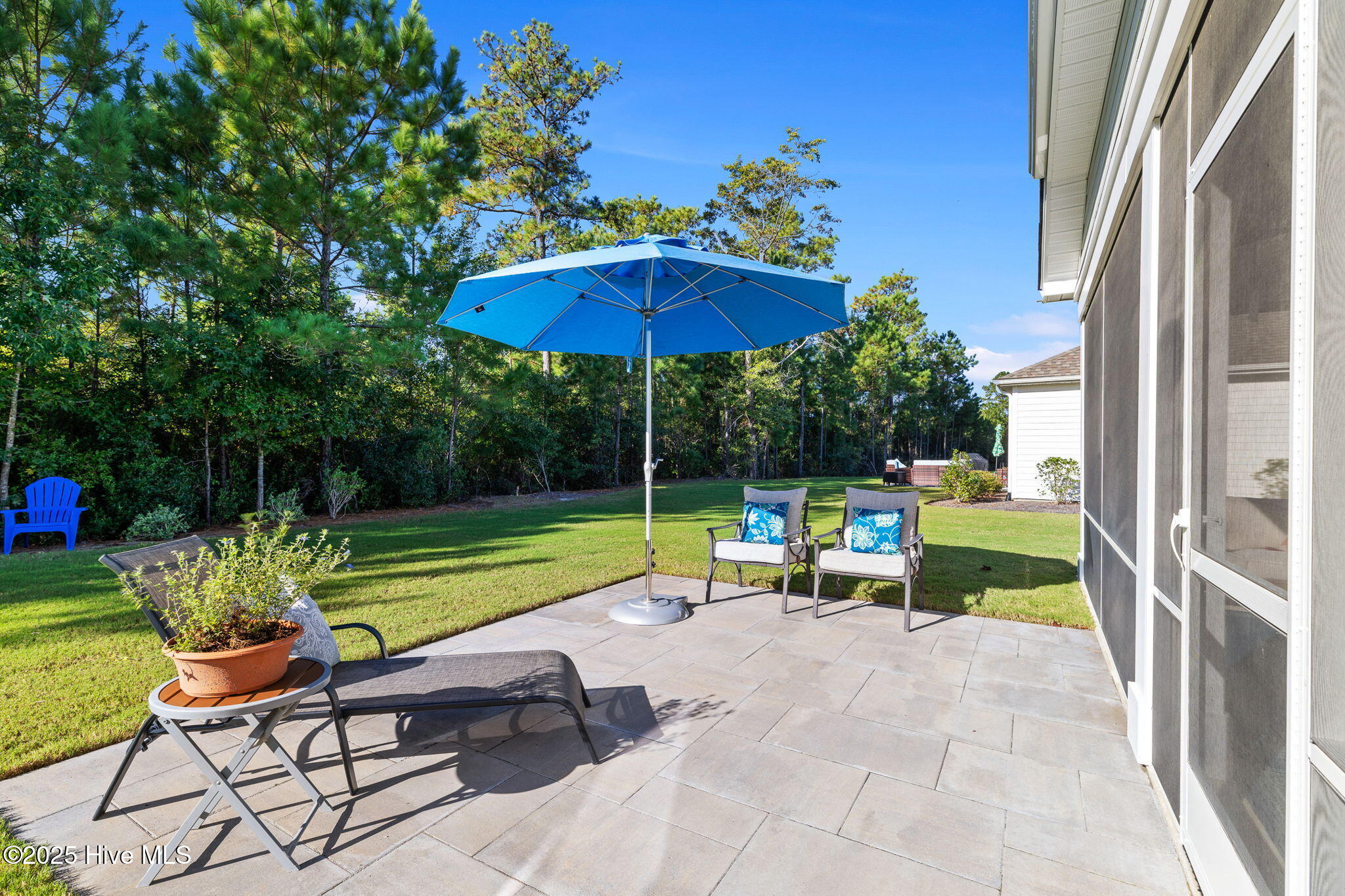 100534721 | Photo 31