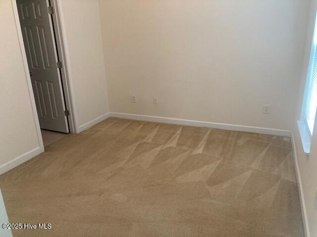 100517374 | Photo 23