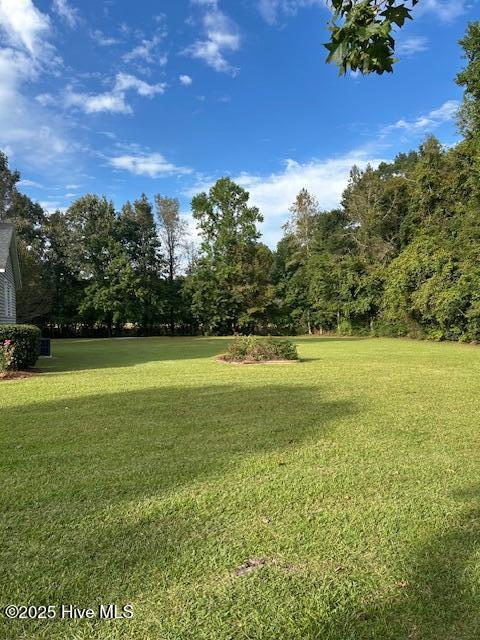 100531539 | Photo 13