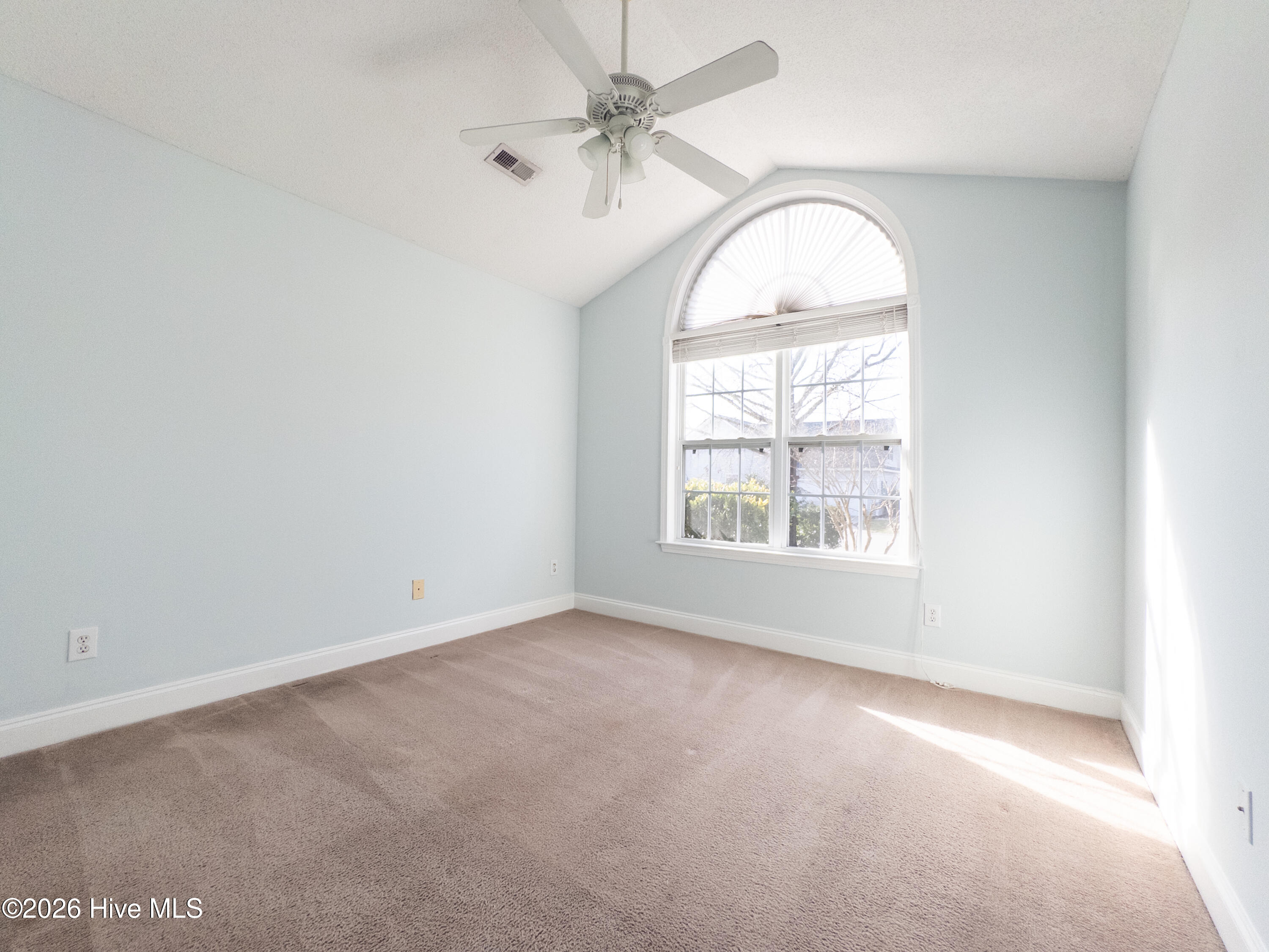 100558413 | Photo 31