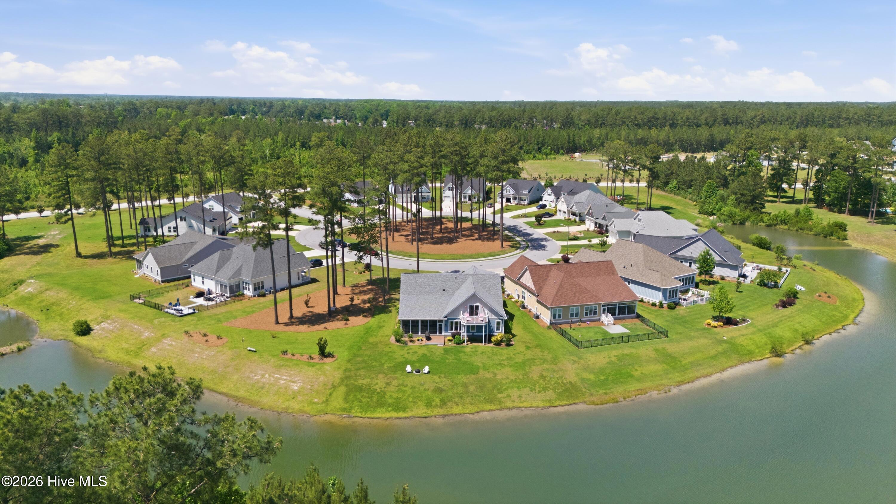 back of house aerial view of Watercrest Loop