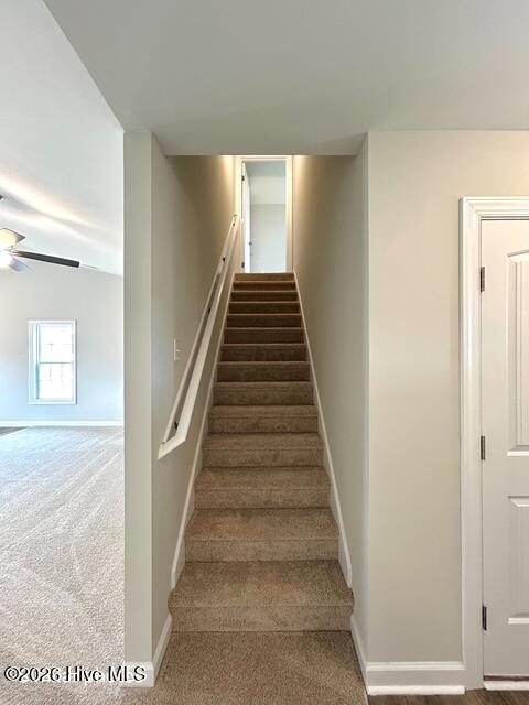 100560843 | Photo 57