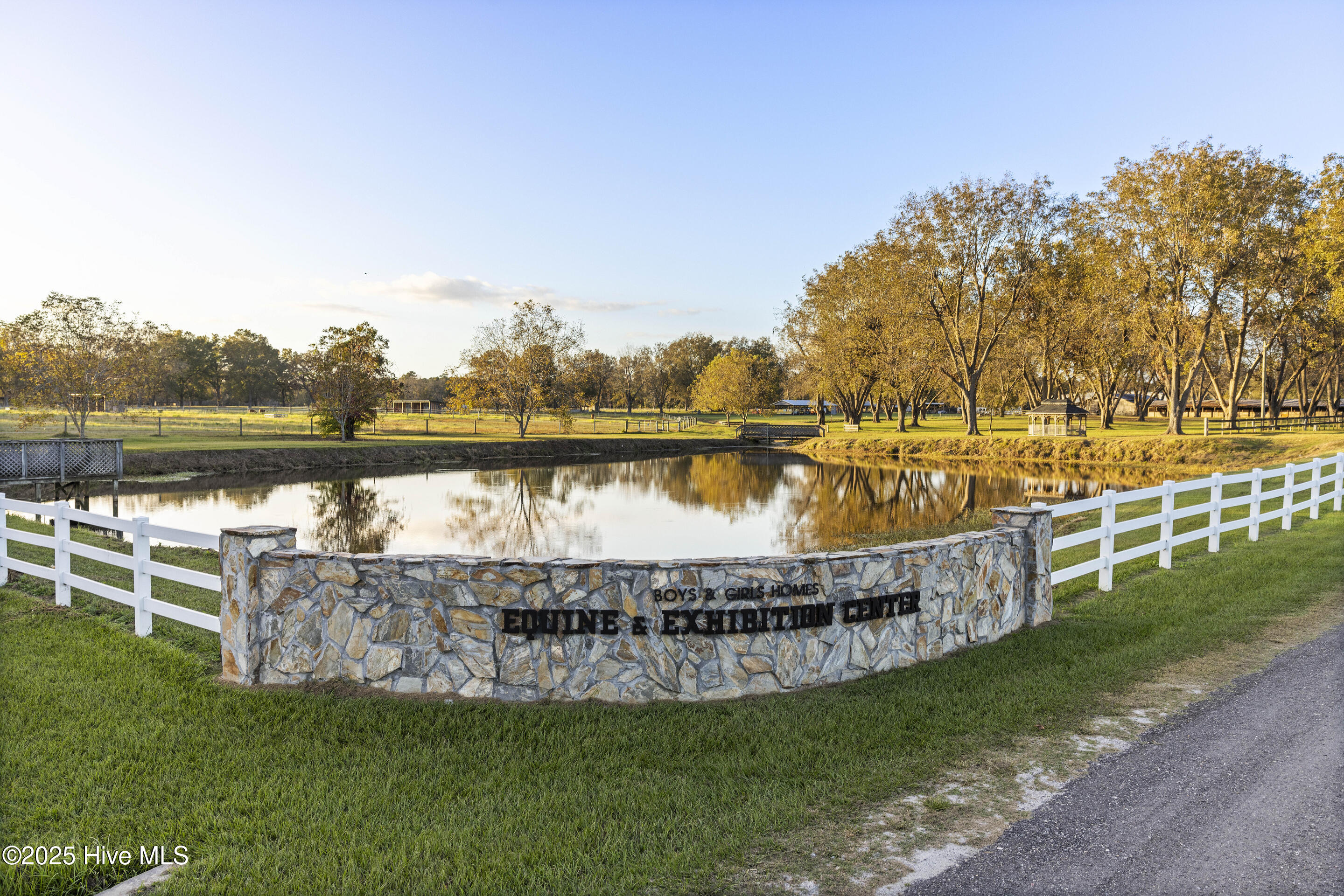 100538504 | Photo 51