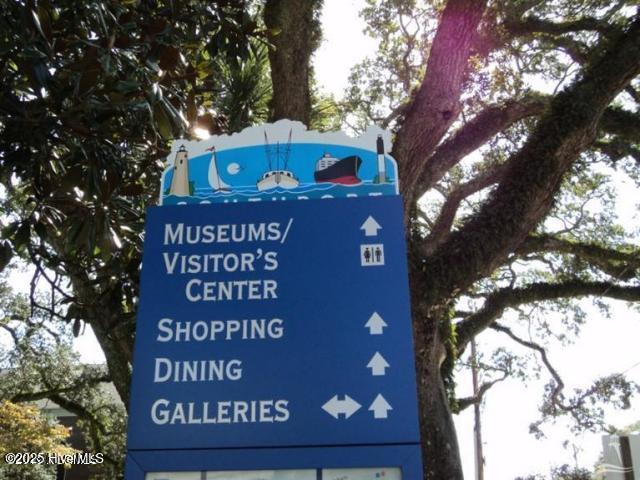 100532253 | Photo 41