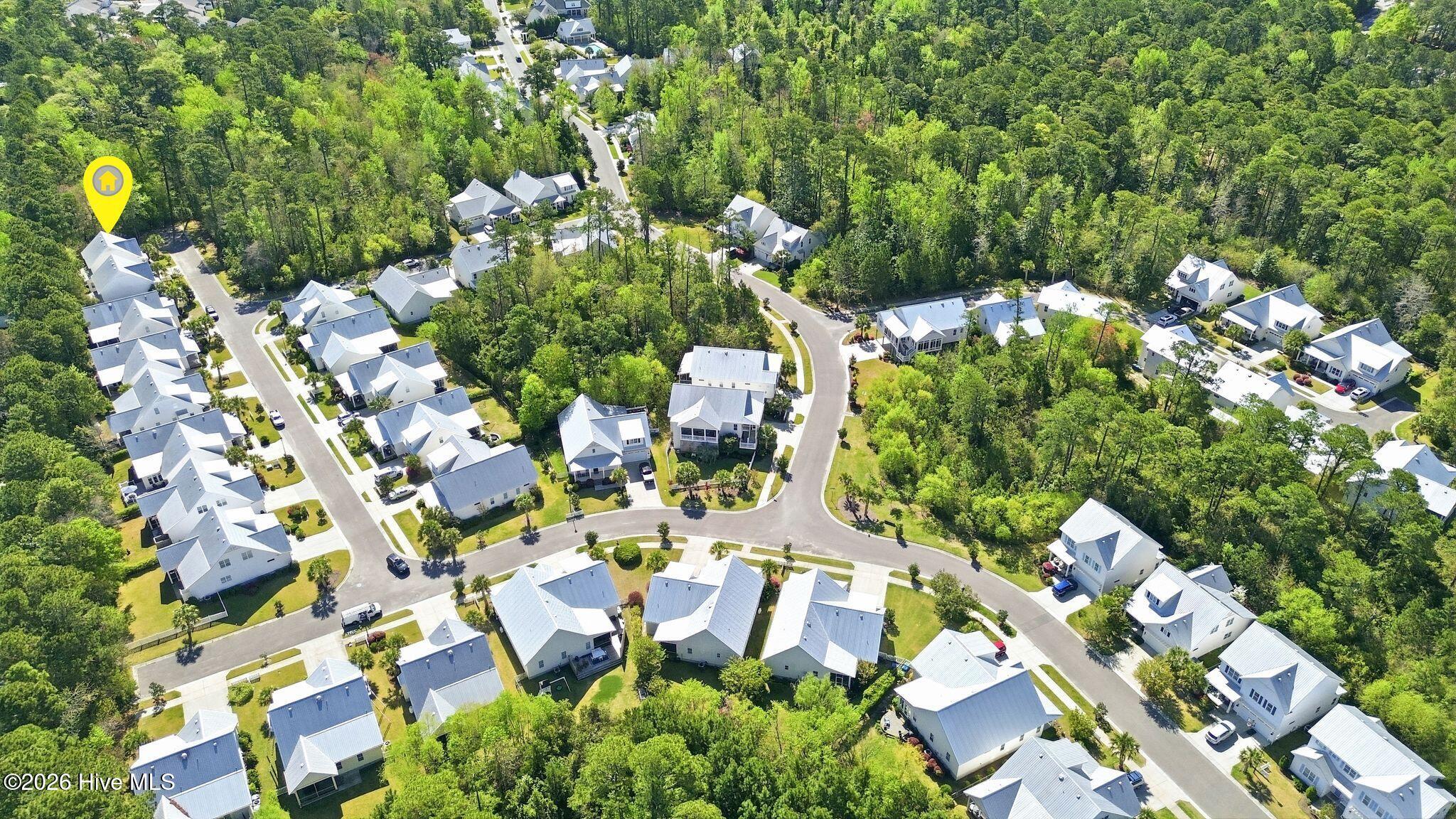 100565220 | Photo 67