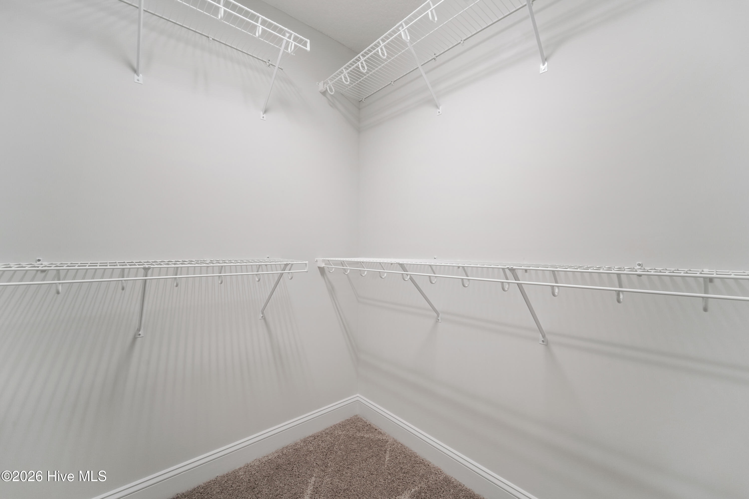 100519692 | Photo 24