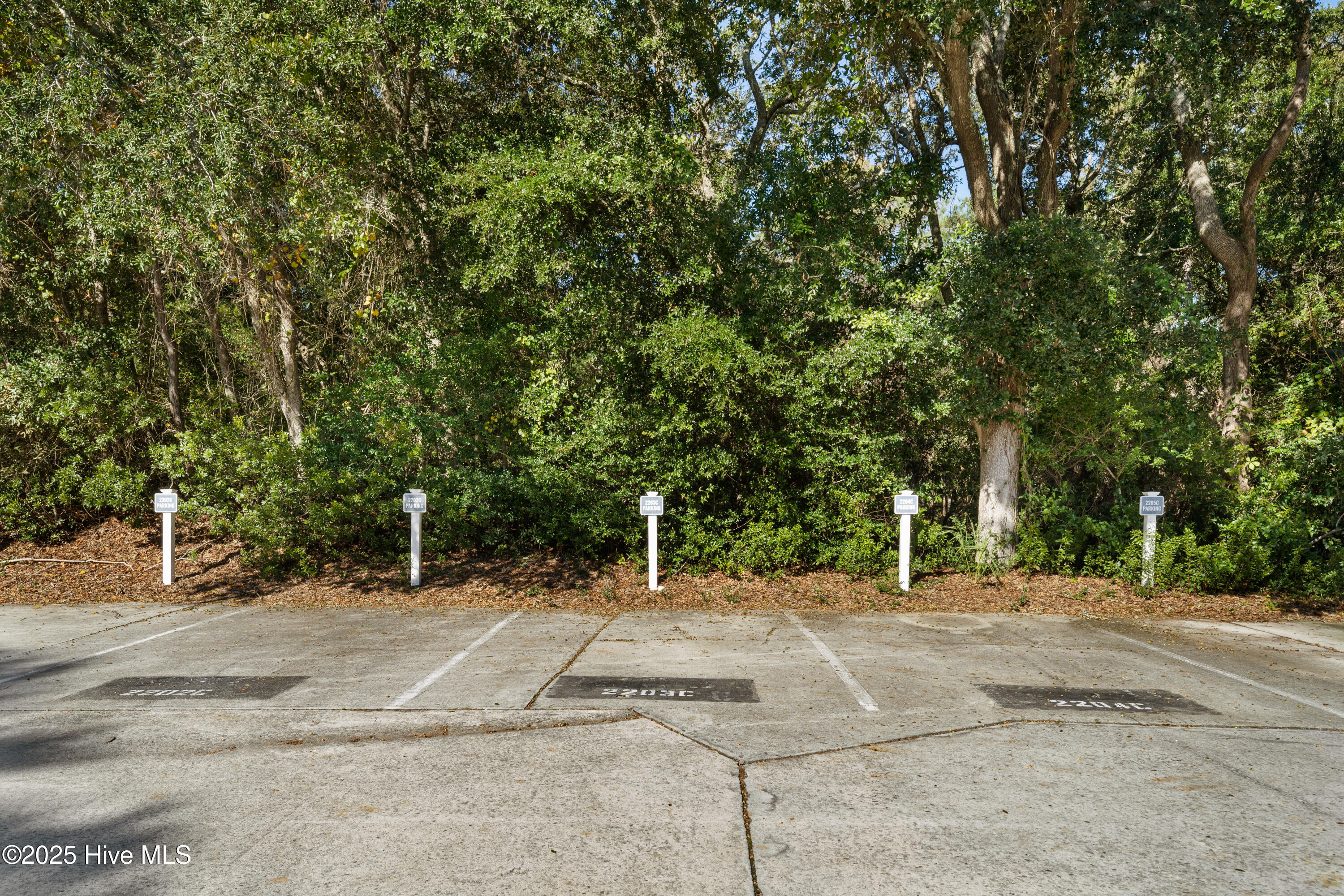 100562977 | Photo 58