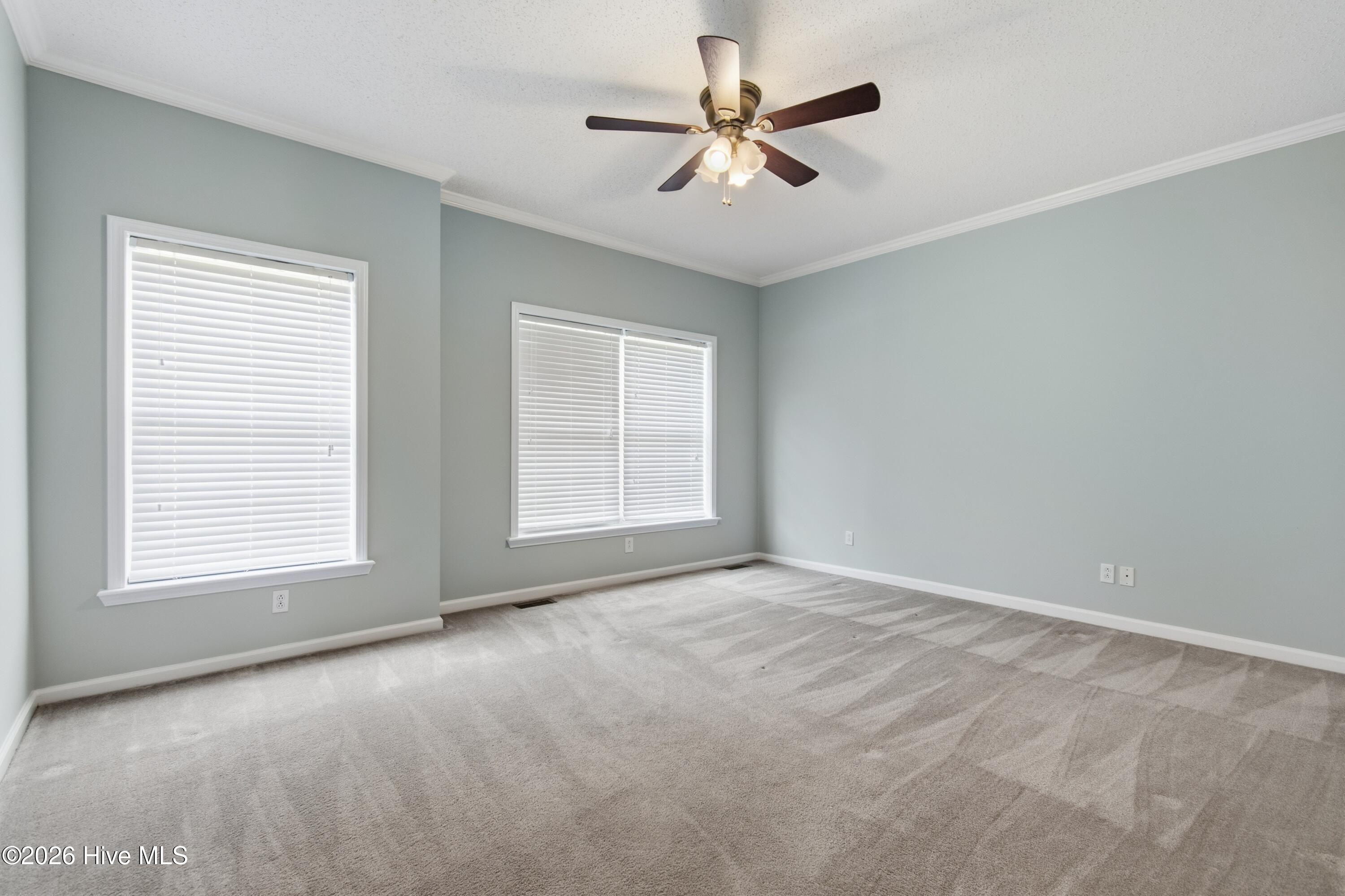 100556655 | Photo 45