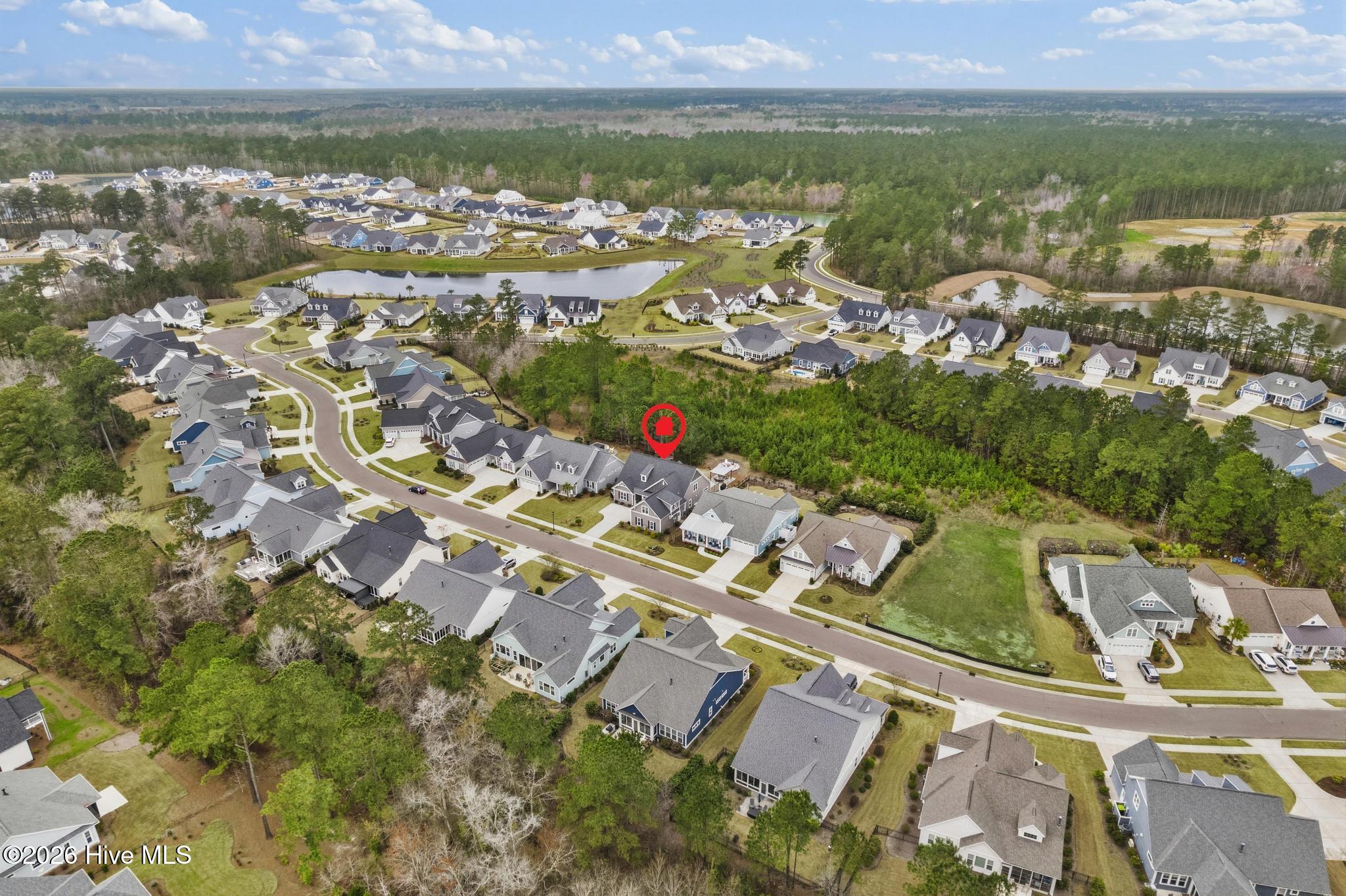 100561438 | Photo 50