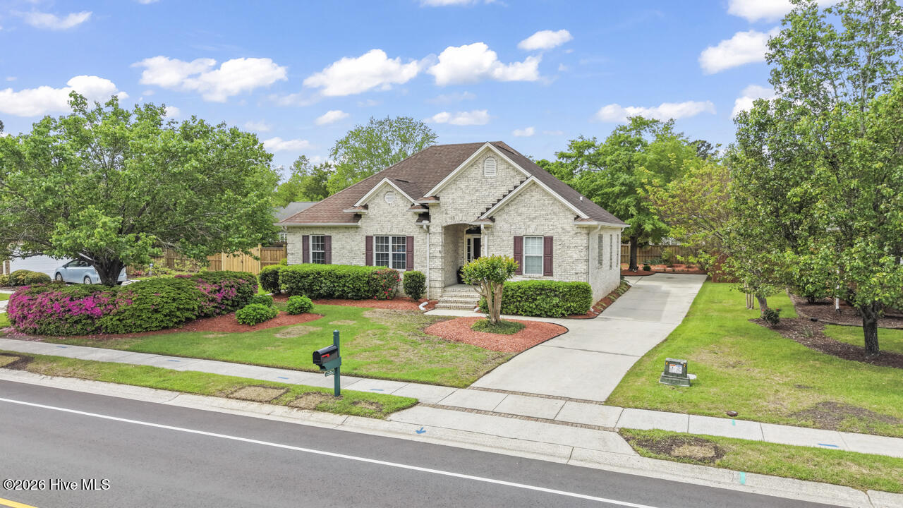 100554989 | Photo 76