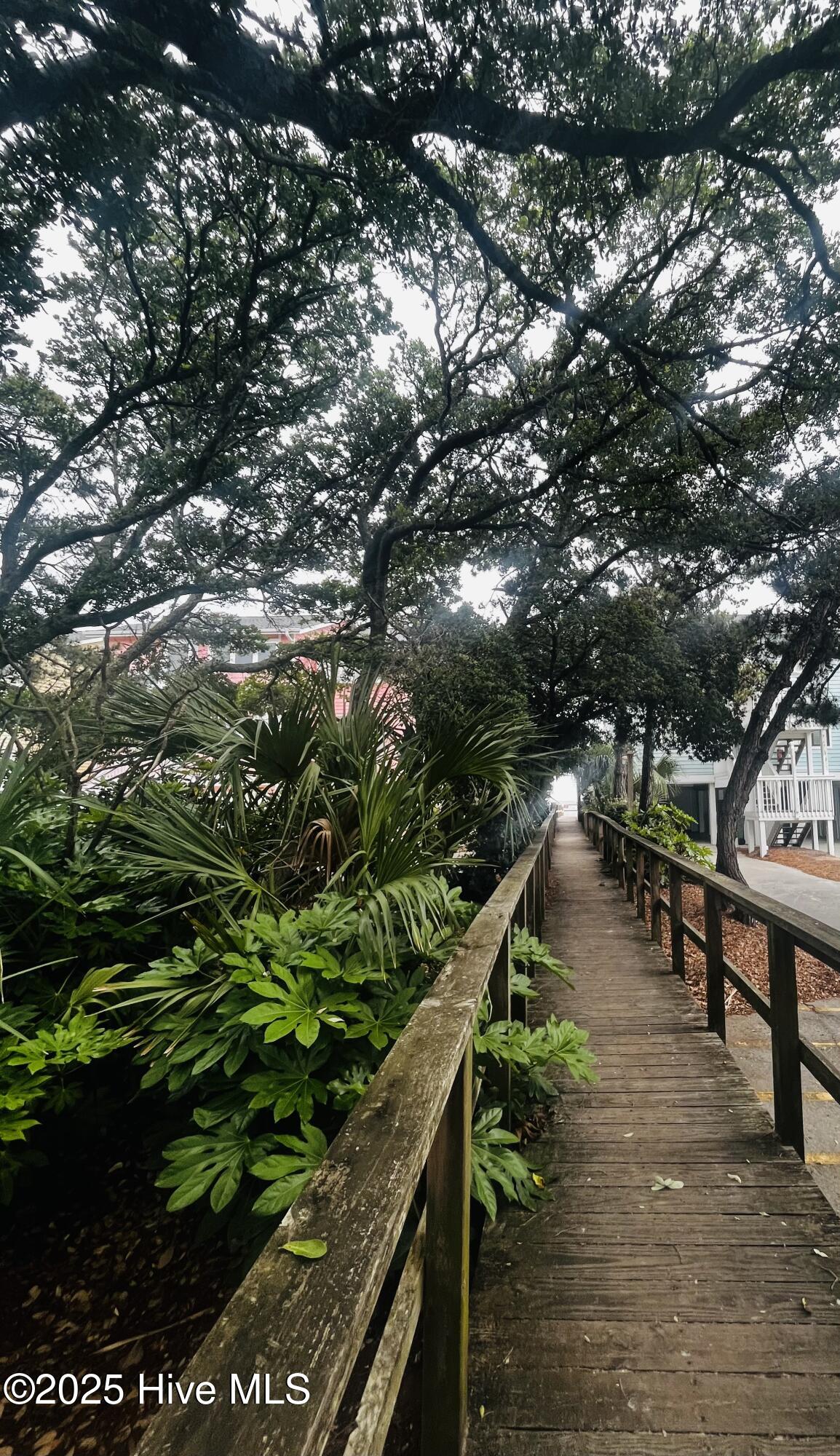 100565403 | Photo 18