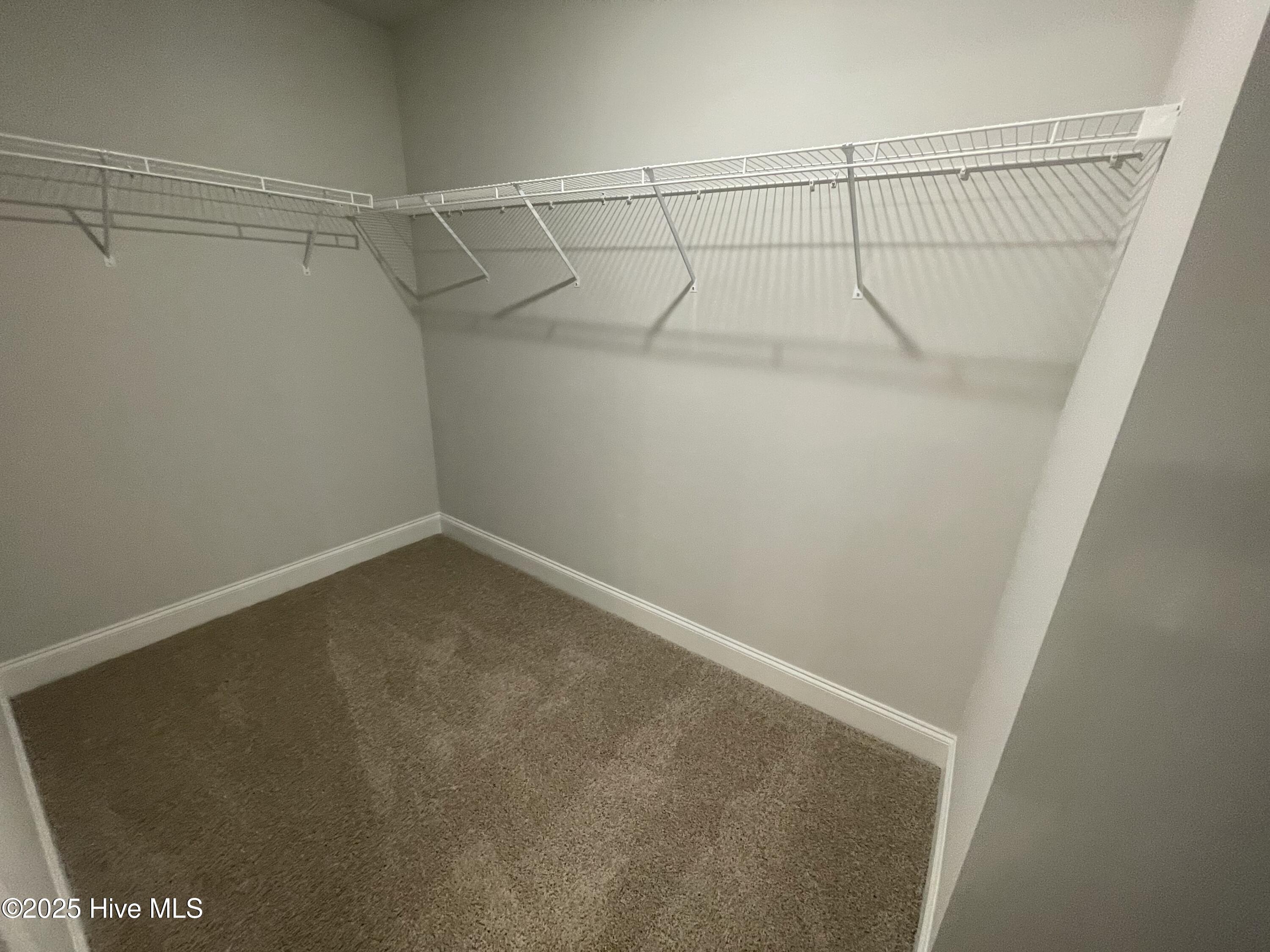 100422121 | Photo 40