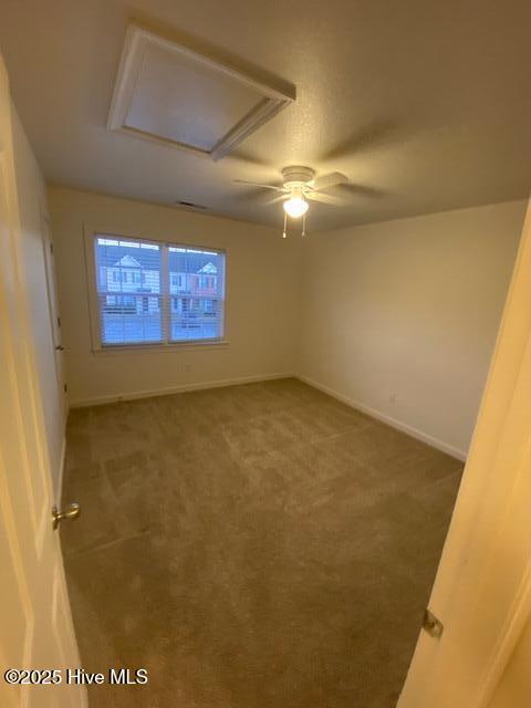 100555542 | Photo 12