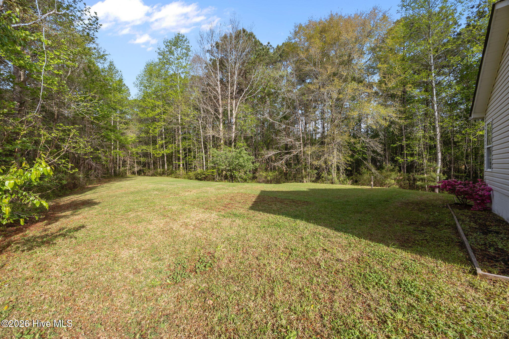 100565489 | Photo 43