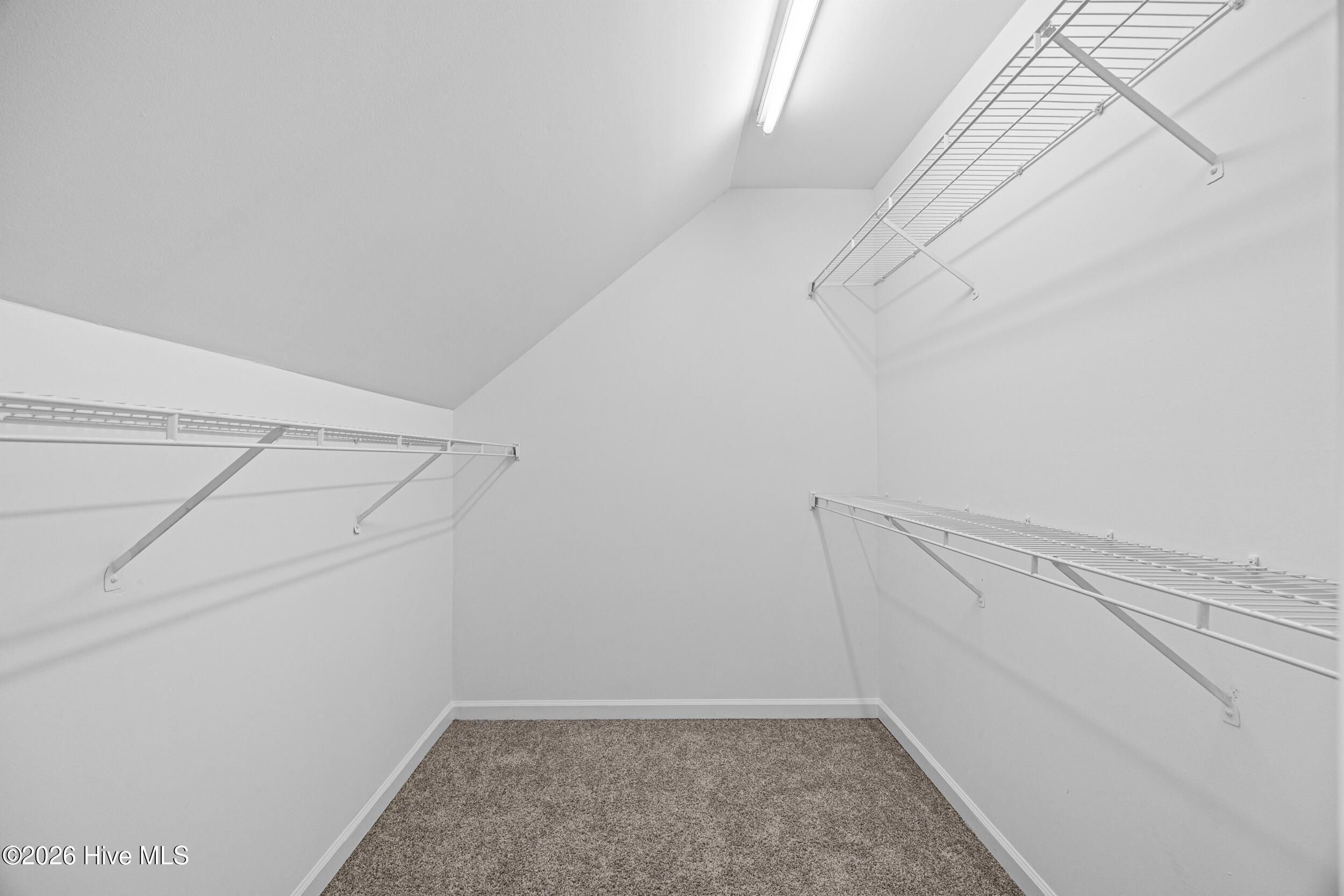 100561010 | Photo 27