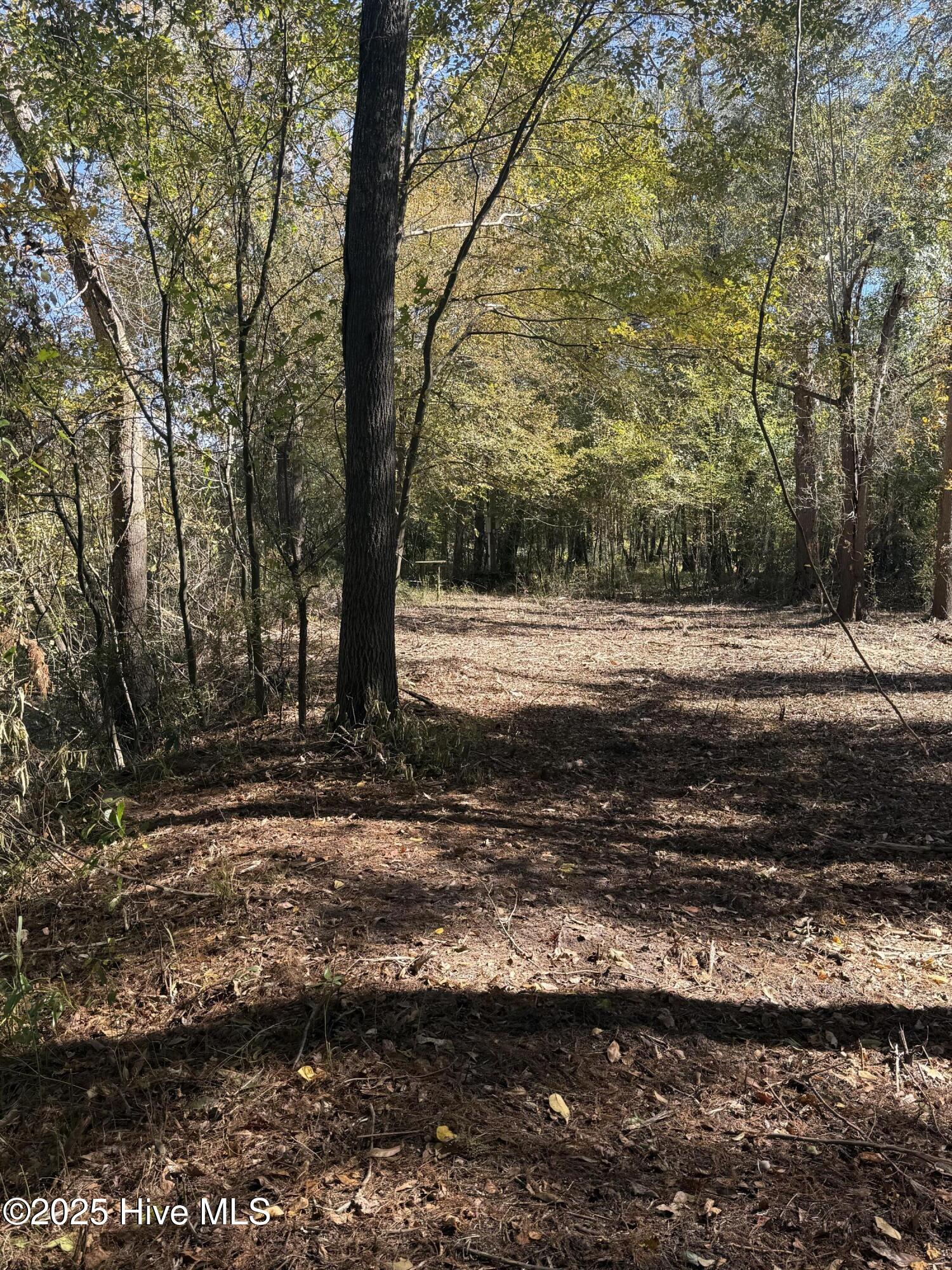 Homes for sale in Burgaw, NC | 1D E Marney Dr, Burgaw, NC 28425 | MLS# 100539107