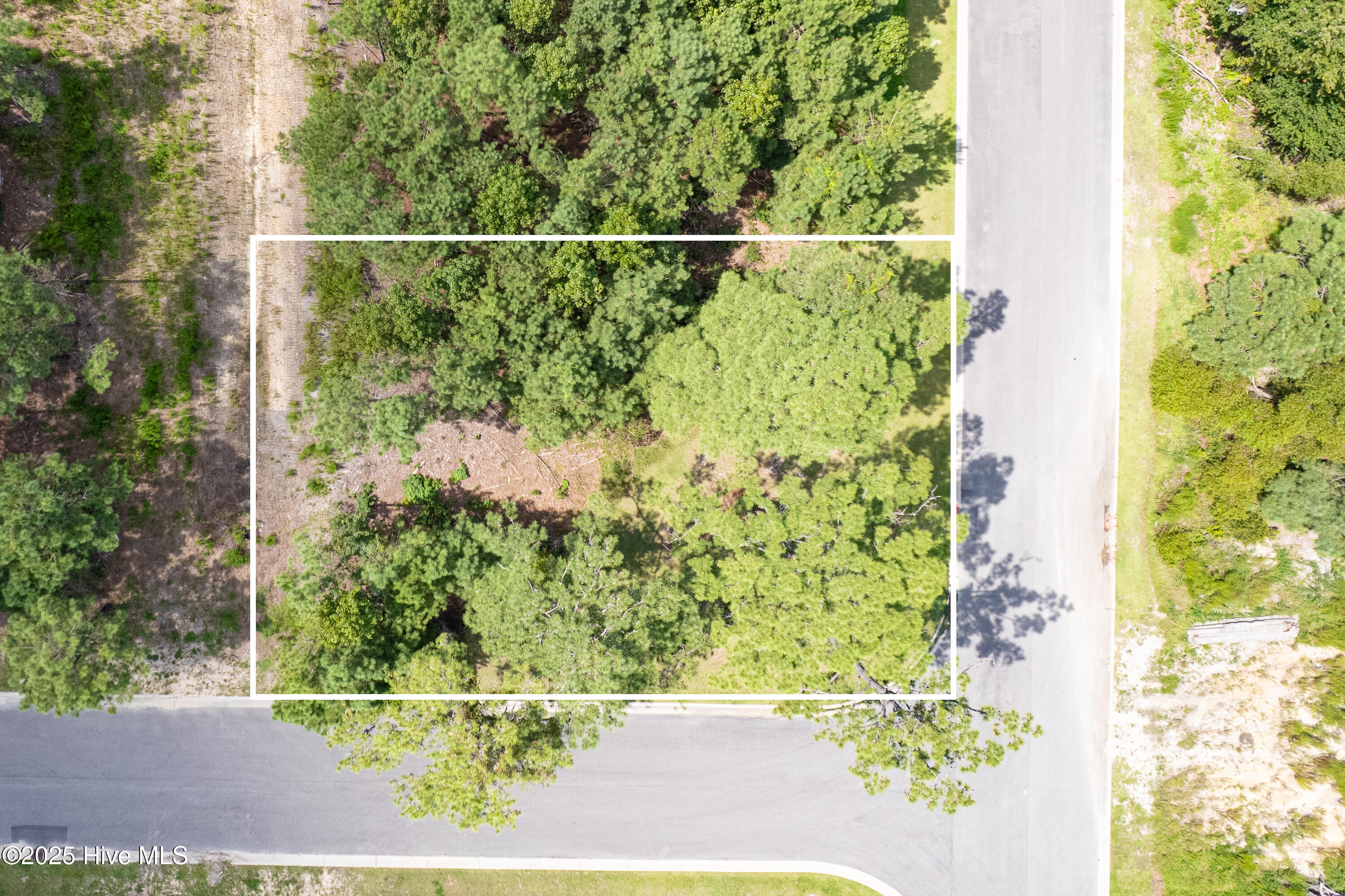 100524221 | Photo 13