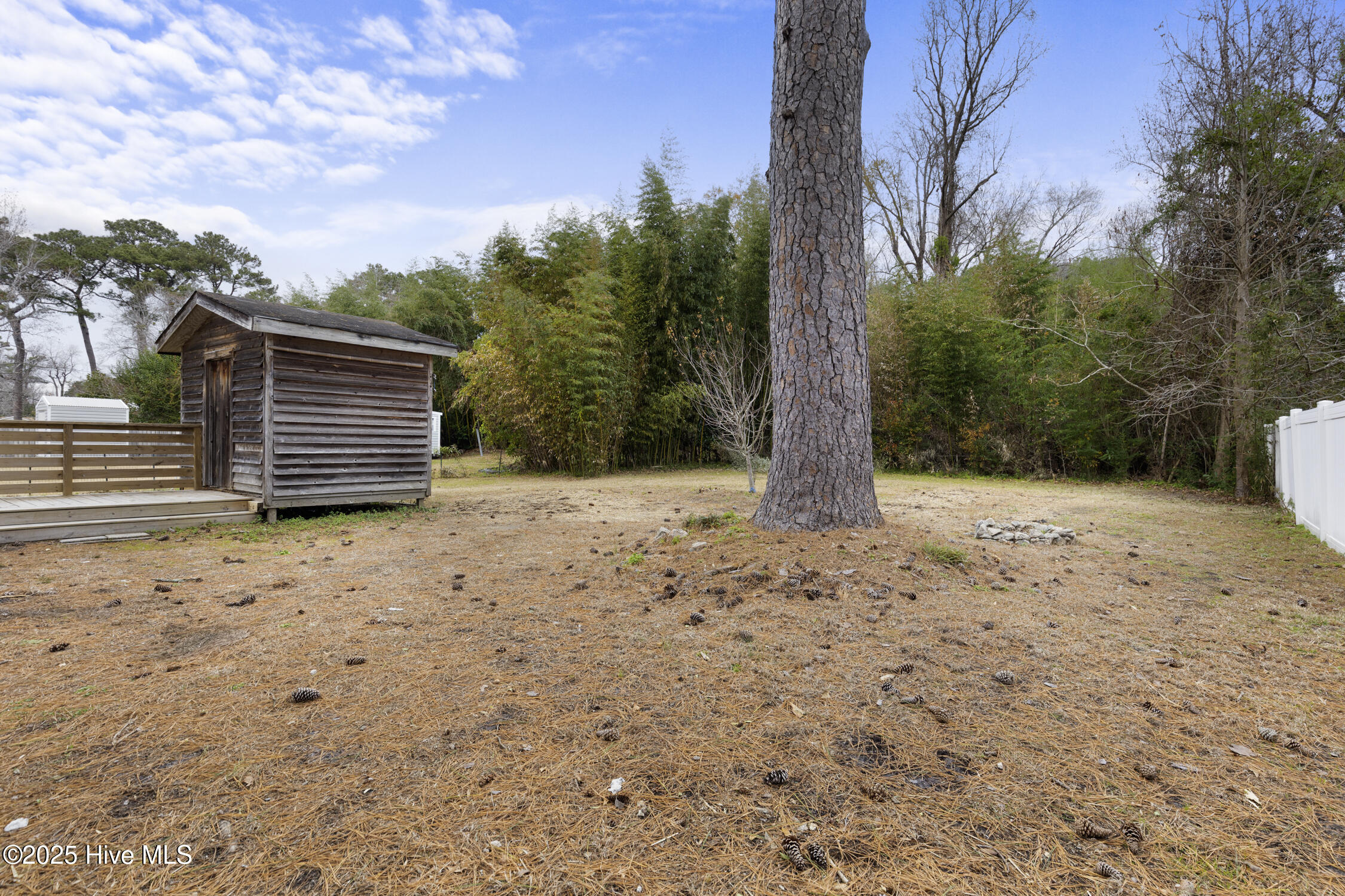 100546892 | Photo 21