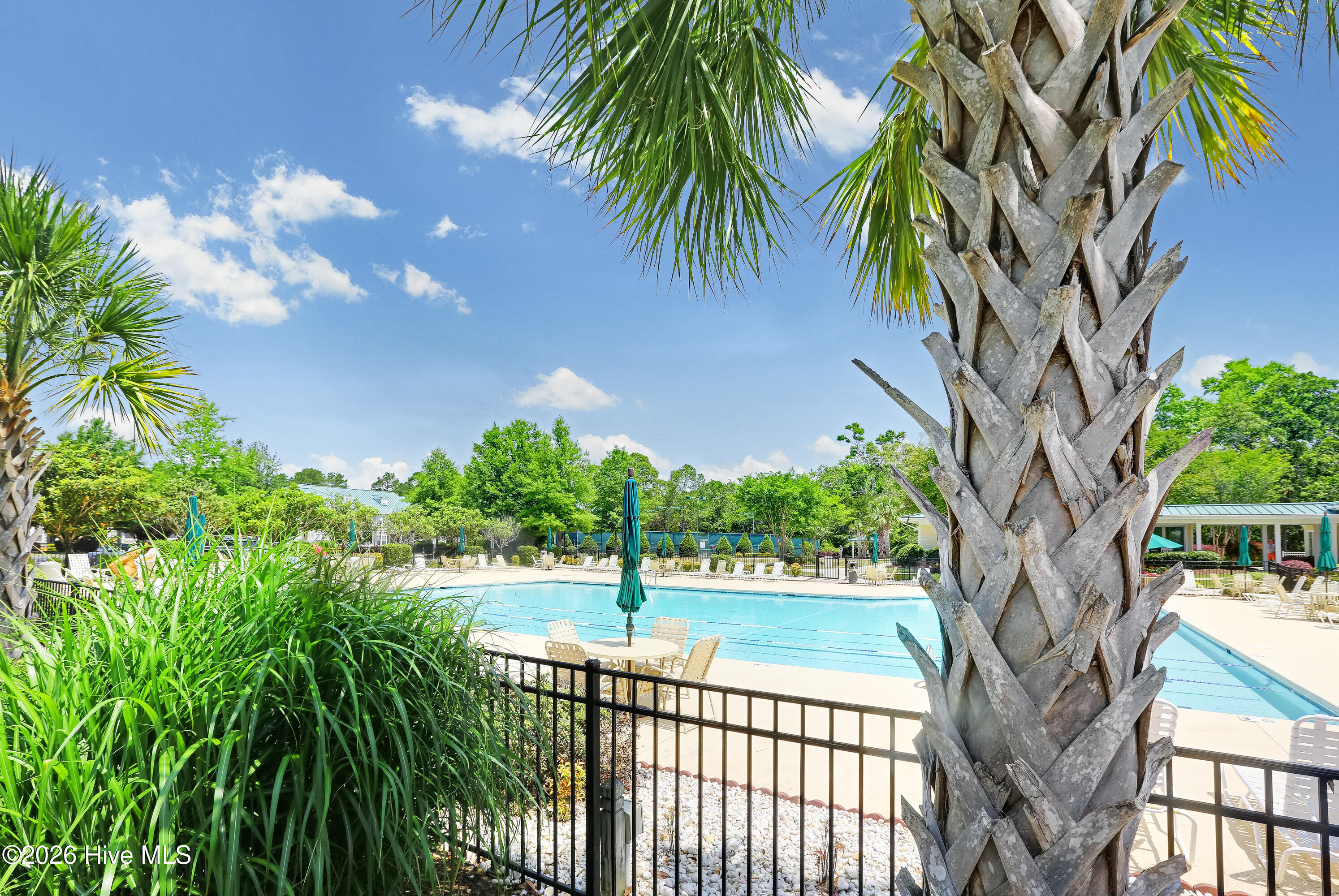 100566975 | Photo 39