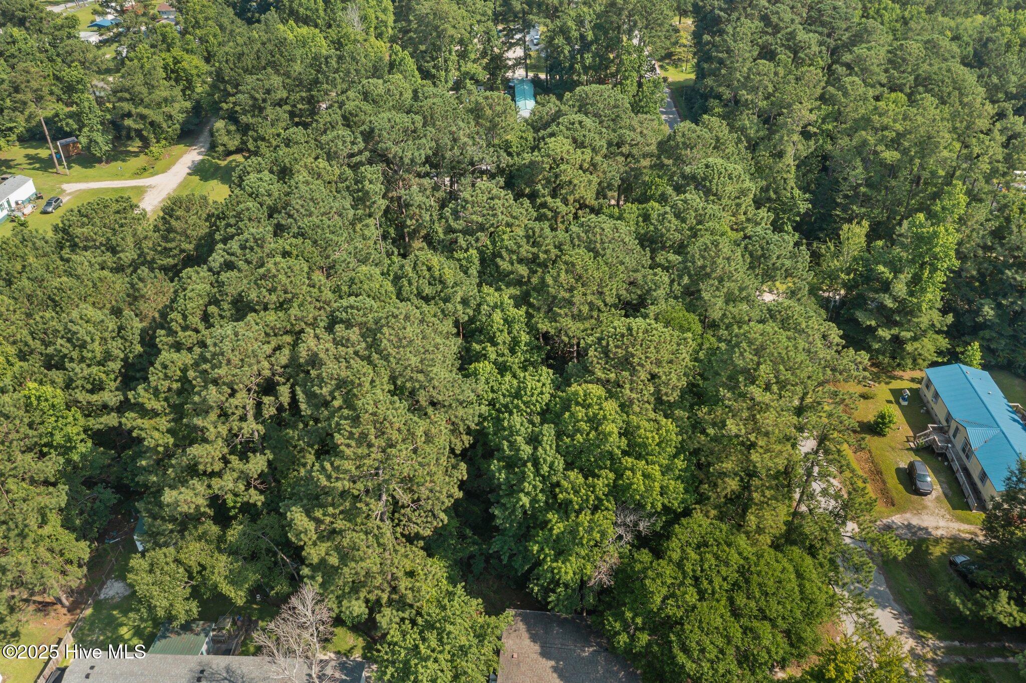 105 Seahorse Drive,Beaufort