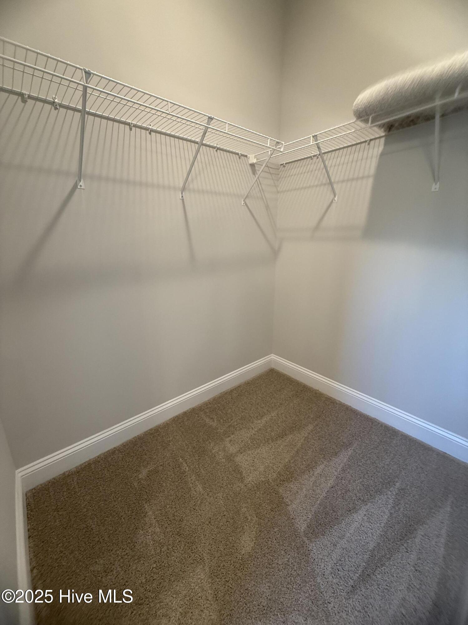 100465680 | Photo 14