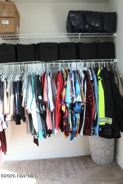 100548455 | Photo 38