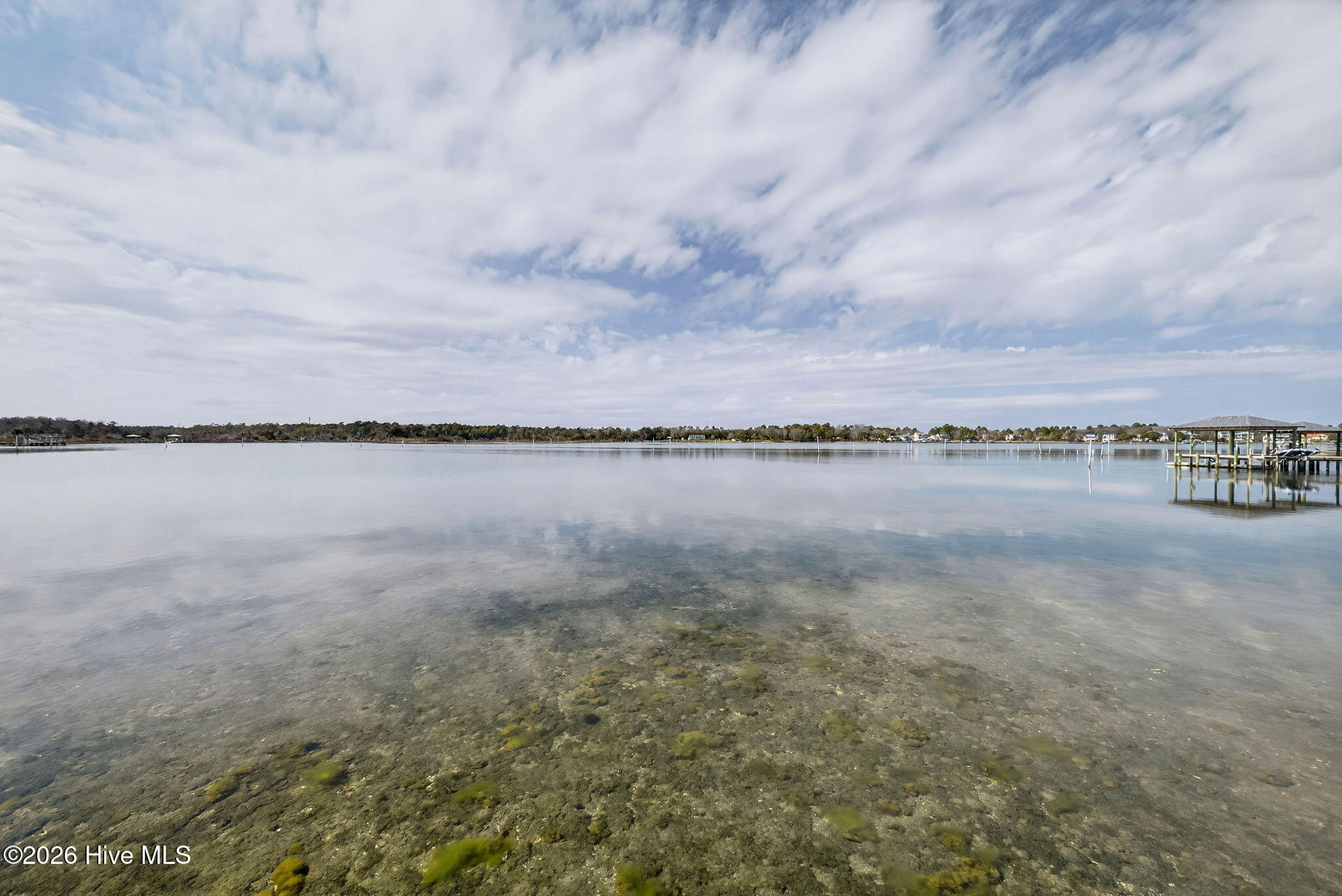 100558217 | Photo 50