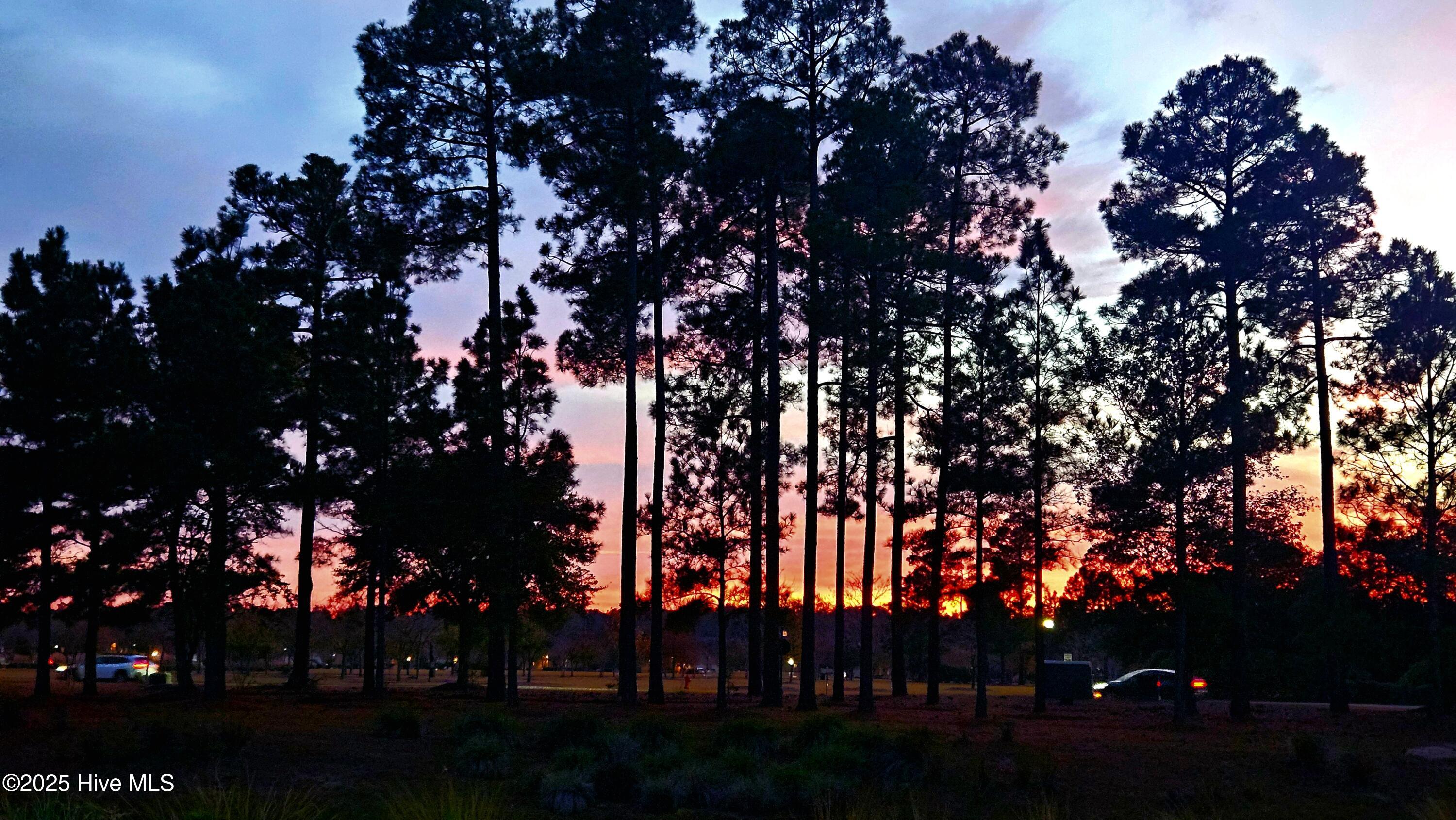 100545391 | Photo 50