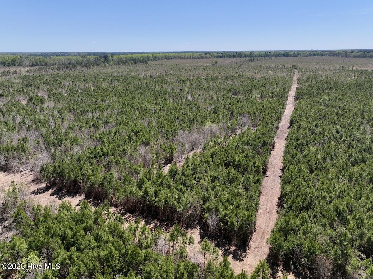 0 Guinea Mill Road, Ernul, NC, 28527