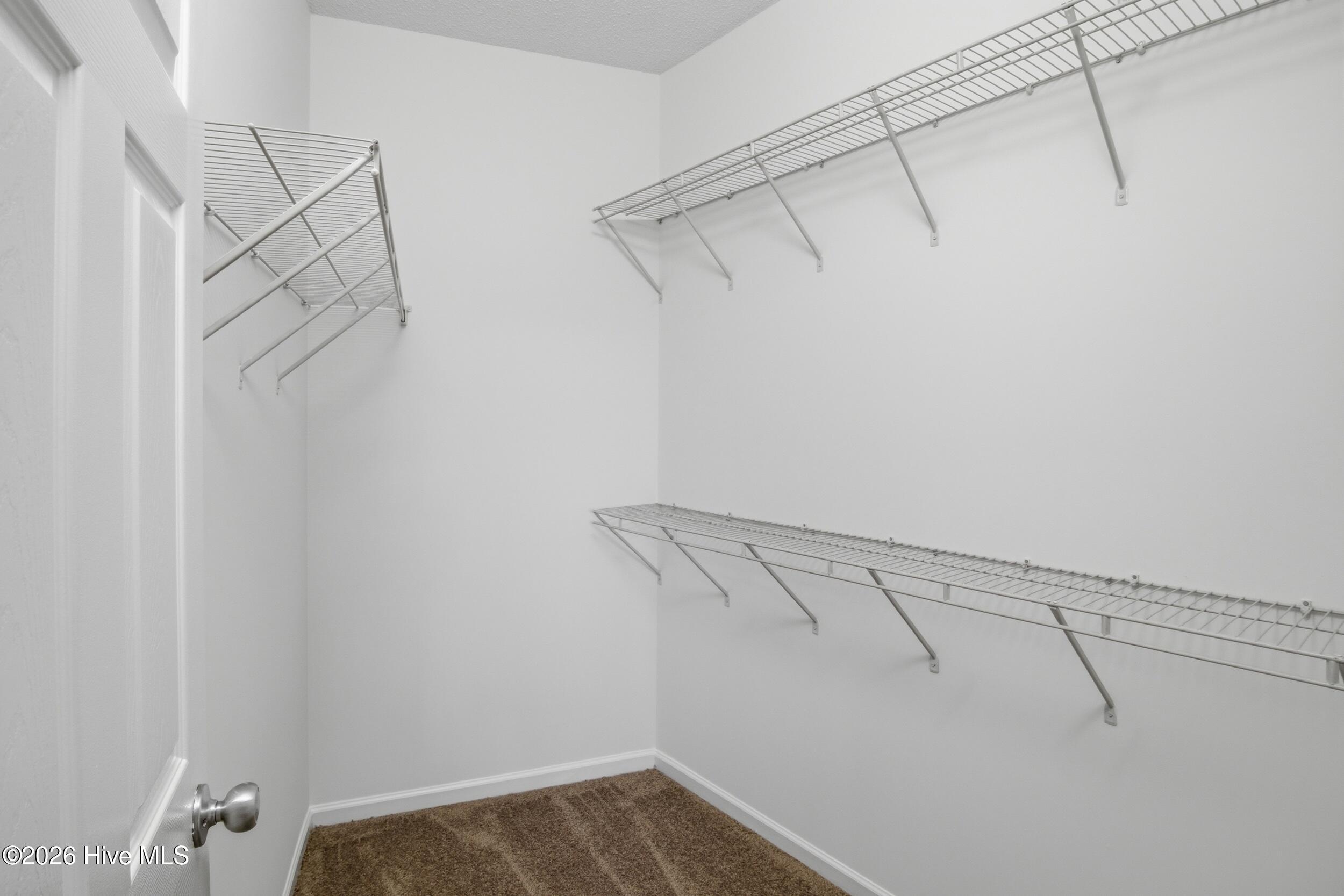 100554409 | Photo 27