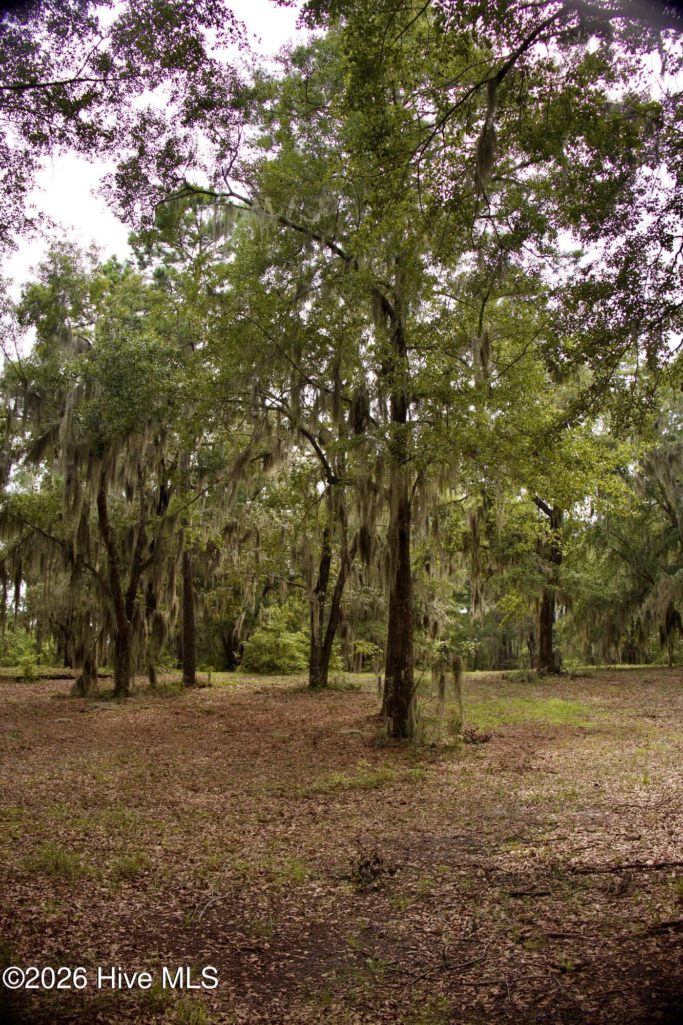 385 Sand Ridge Road,New Bern